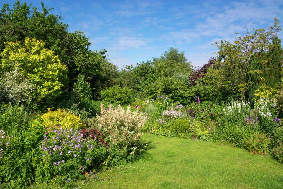 How Often Should You Put Grub Killer on Your Lawn?