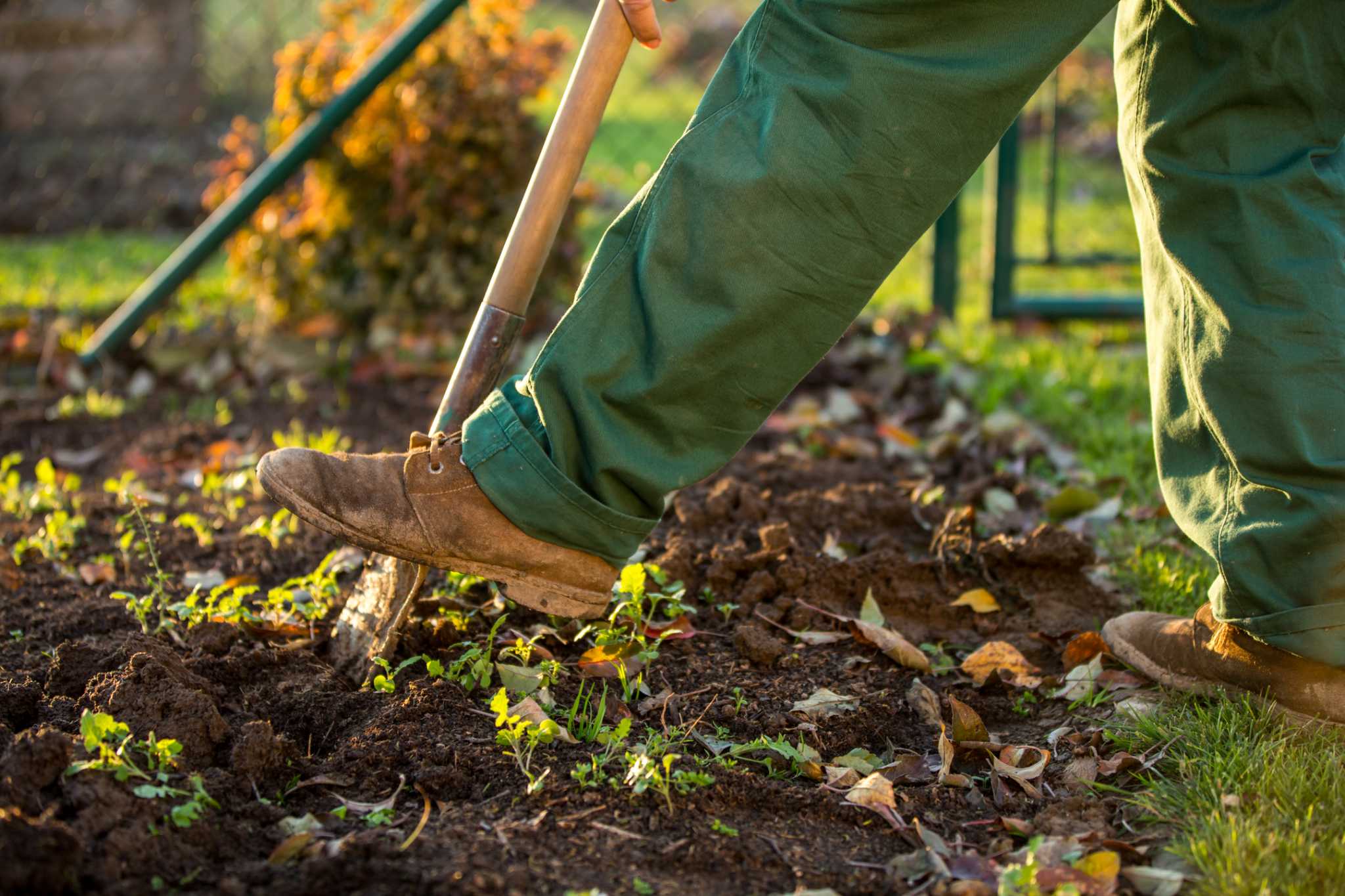 How to Plant New Grass With Peat Moss