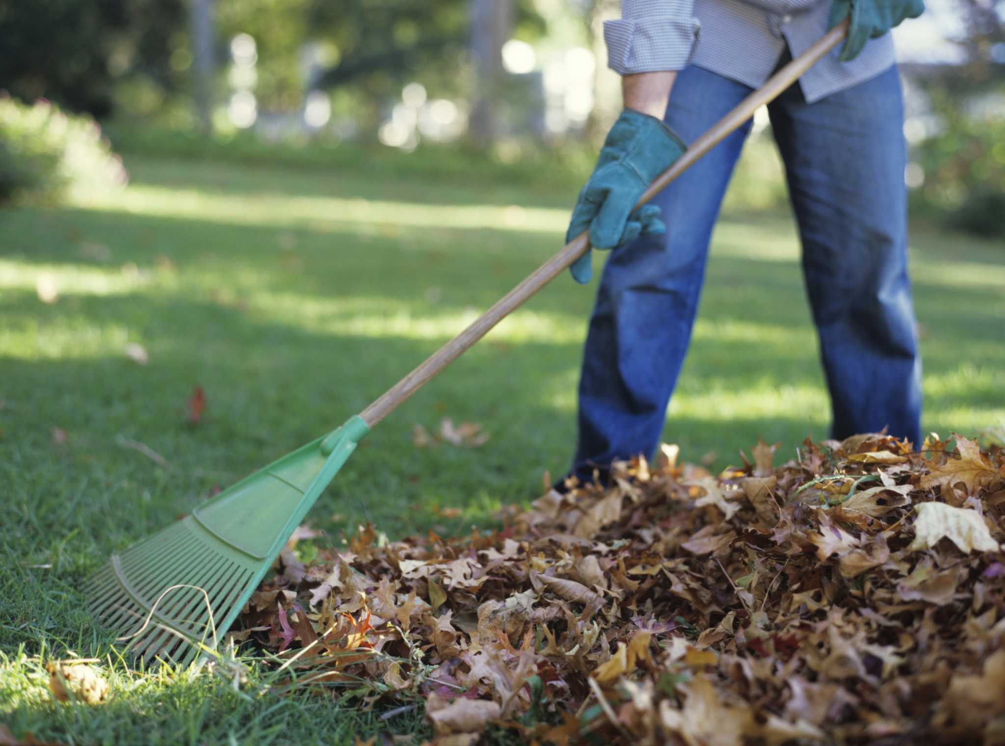 Is Leaf Mulch Acidic?
