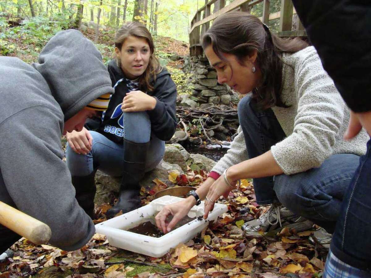 Fairfield Ludlowe High School students Lucia Harold, back, and Chris Stern, left, both 17, watch as Sally Harold, director of the Saugatuck River Watershed Partnership, right, sits on the banks of a west branch of the Saugatuck River off Stonebridge Road in Weston Saturday, Oct. 16, 2010, going through the contents of an examination tray. The aquatic insects were collected for the Nature Conservancy's Saugatuck River Watershed Partnership's seventh annual macroinvertebrate sampling program.