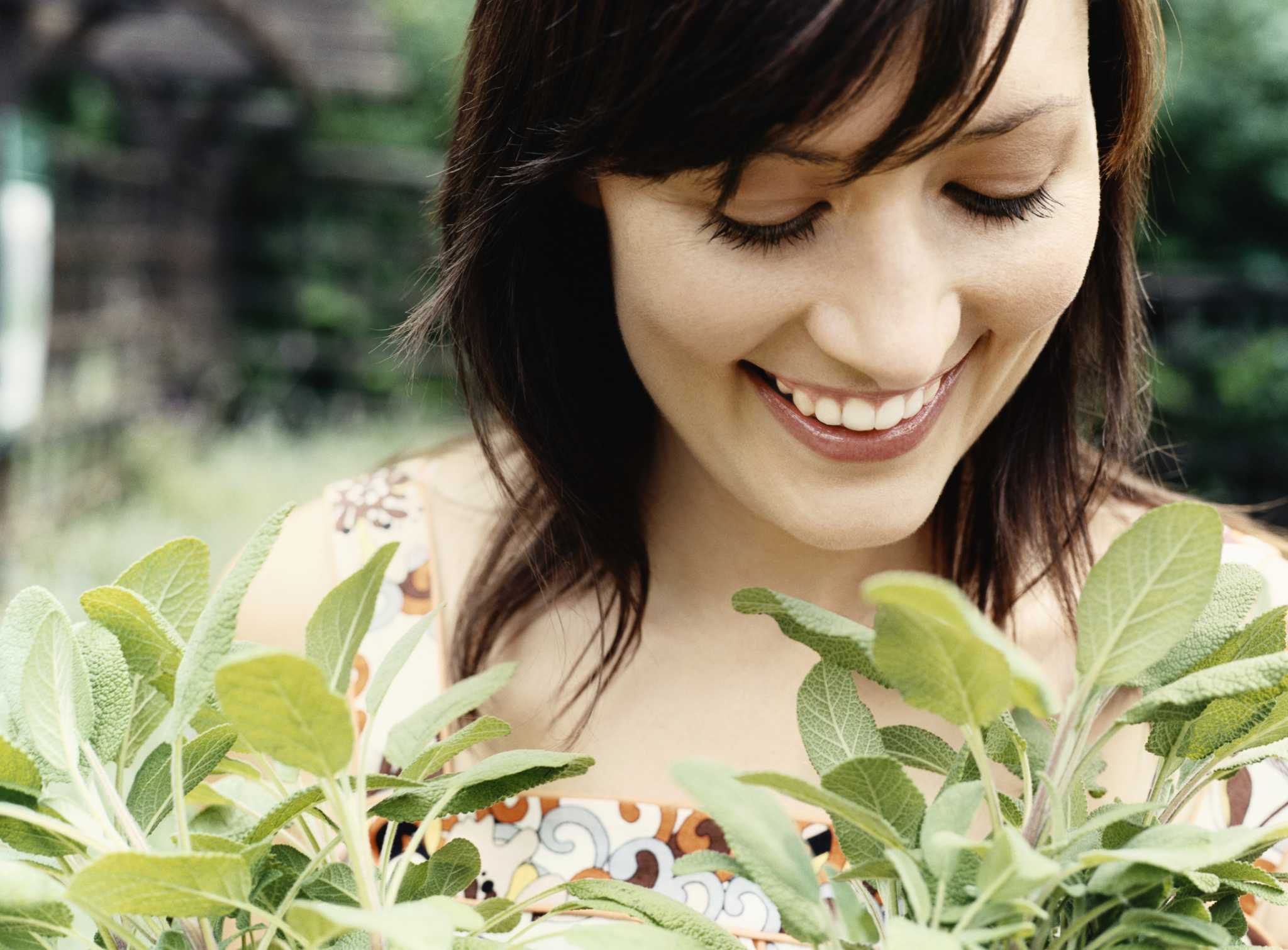 Is it Safe to Grow Vegetables in Rubbermaid Storage Containers?