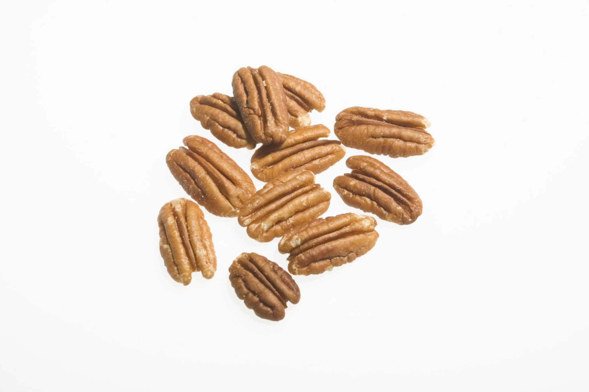 How to Treat Pecan Trees That Have Worms in the Nuts
