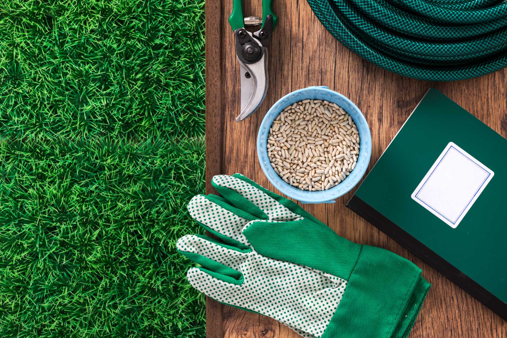 When to Lime the Lawn If New Grass Seed is Planted