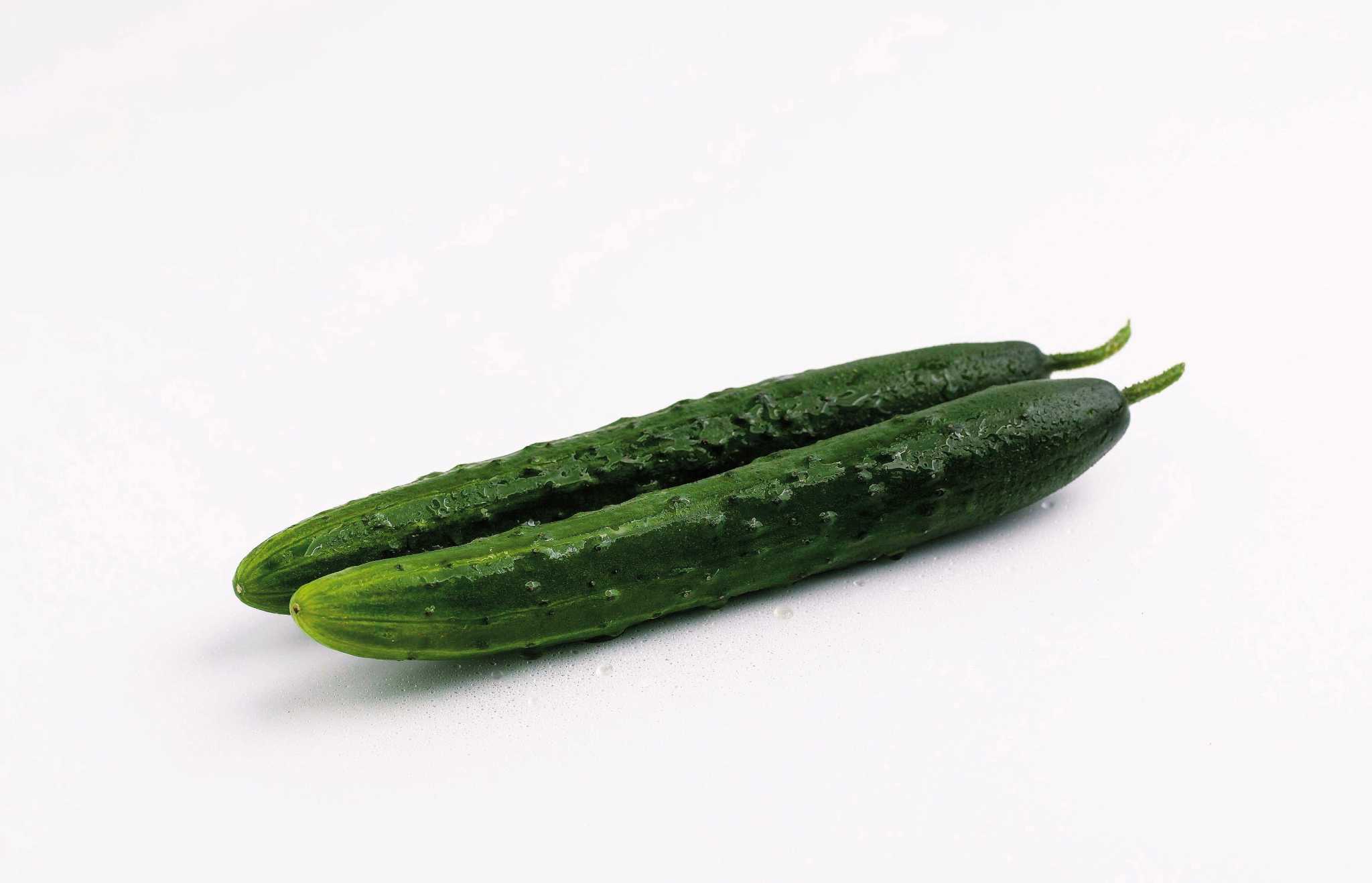 SelfPollinating Cucumbers