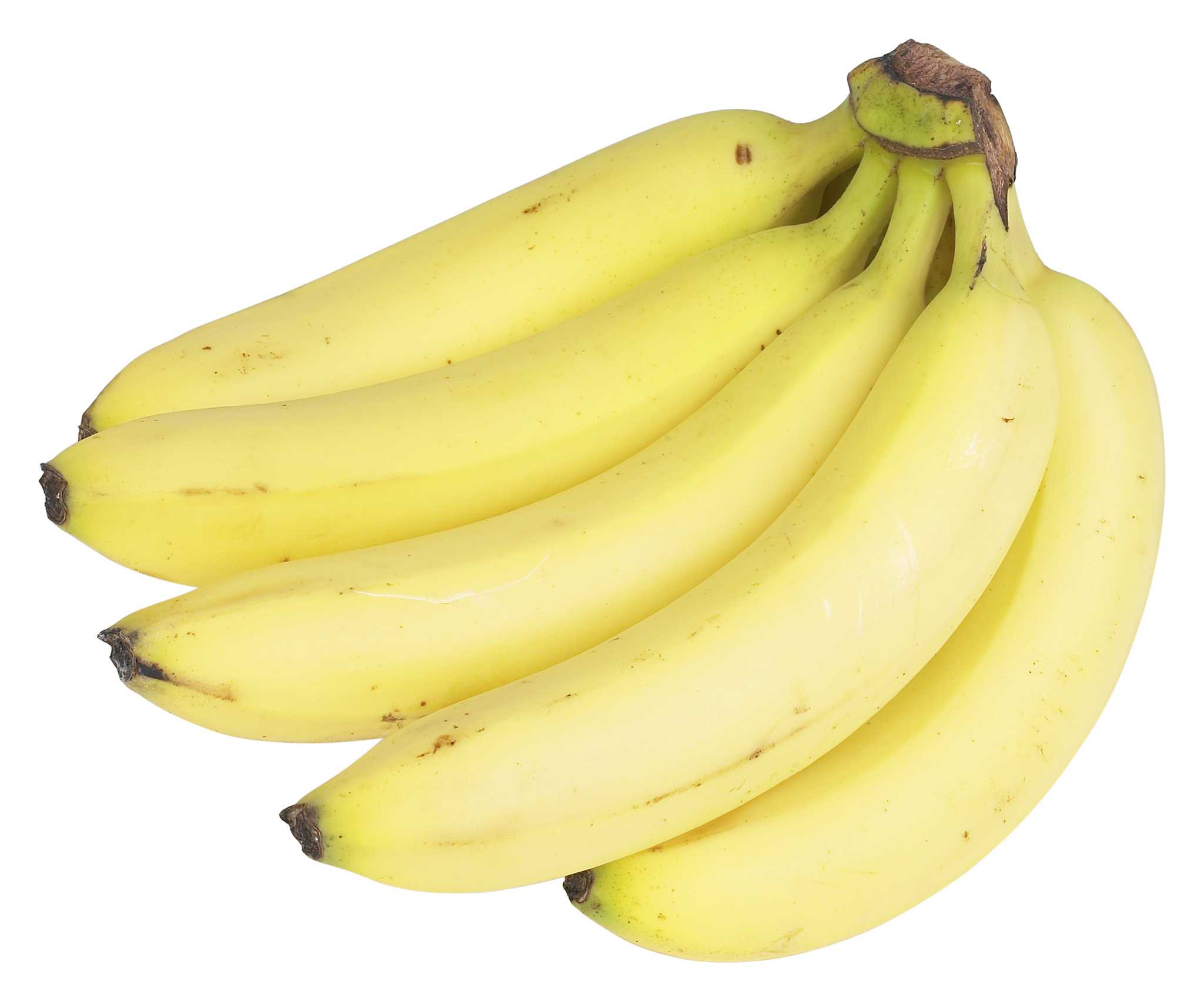 how-to-separate-banana-trees