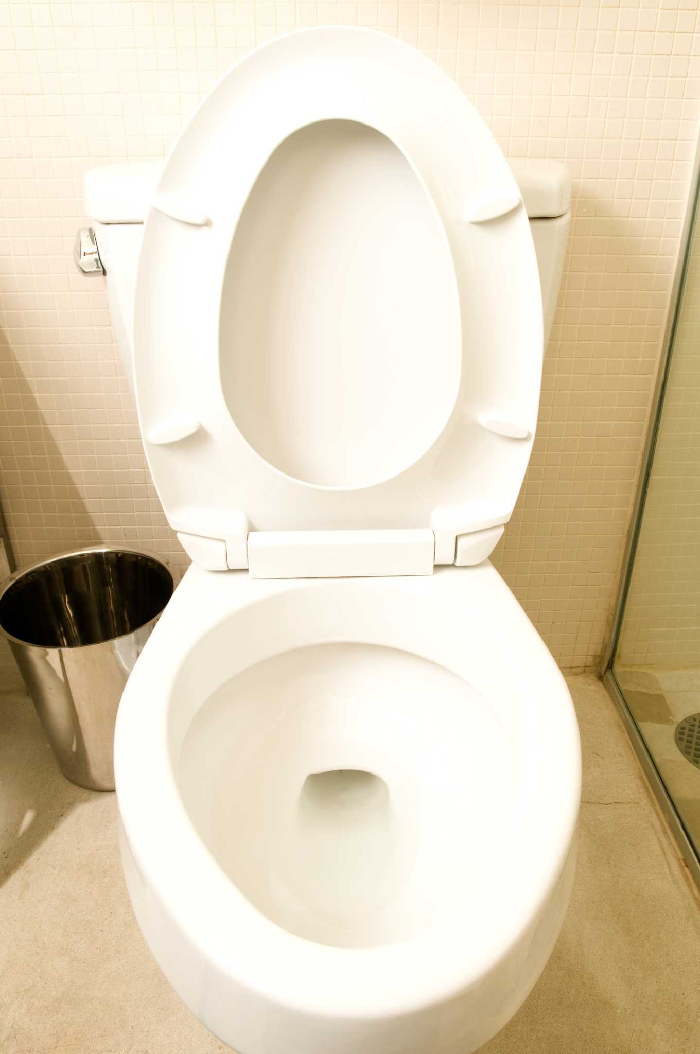 The Best Toilets That Won't Clog