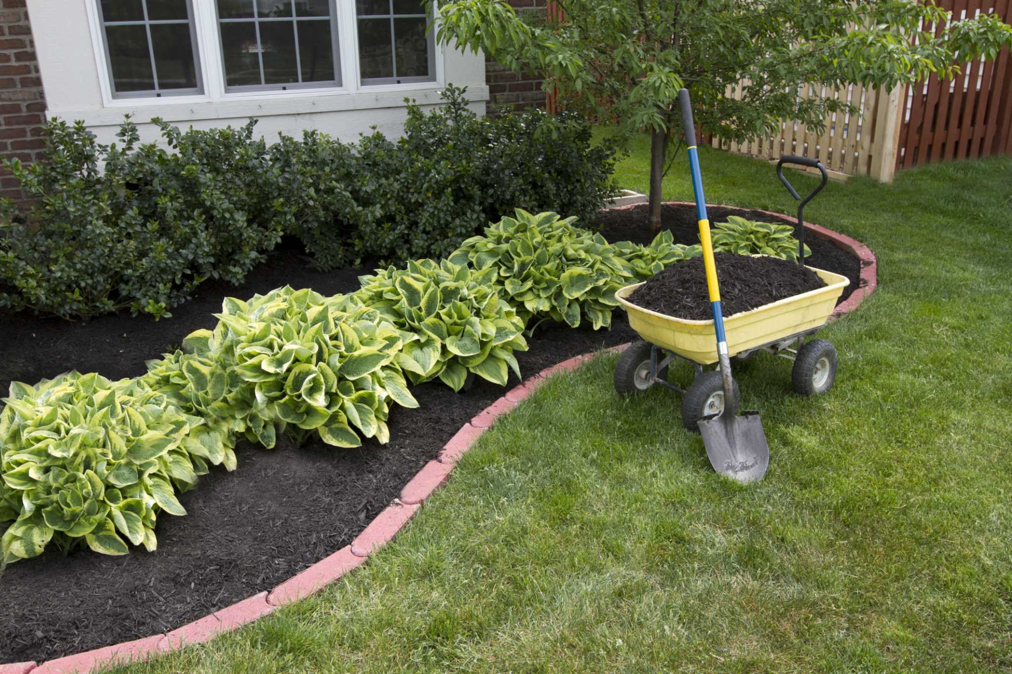 LowMaintenance Flower Bed Without Weed Pulling
