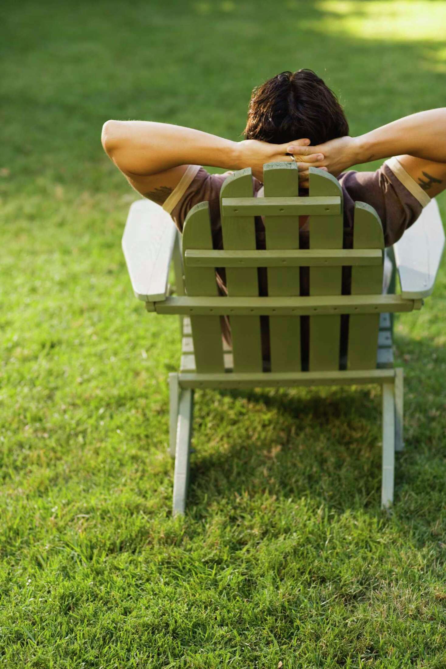 How Often Should You Apply Scotts Lawn Pro Non Phosphorus Lawn Food?