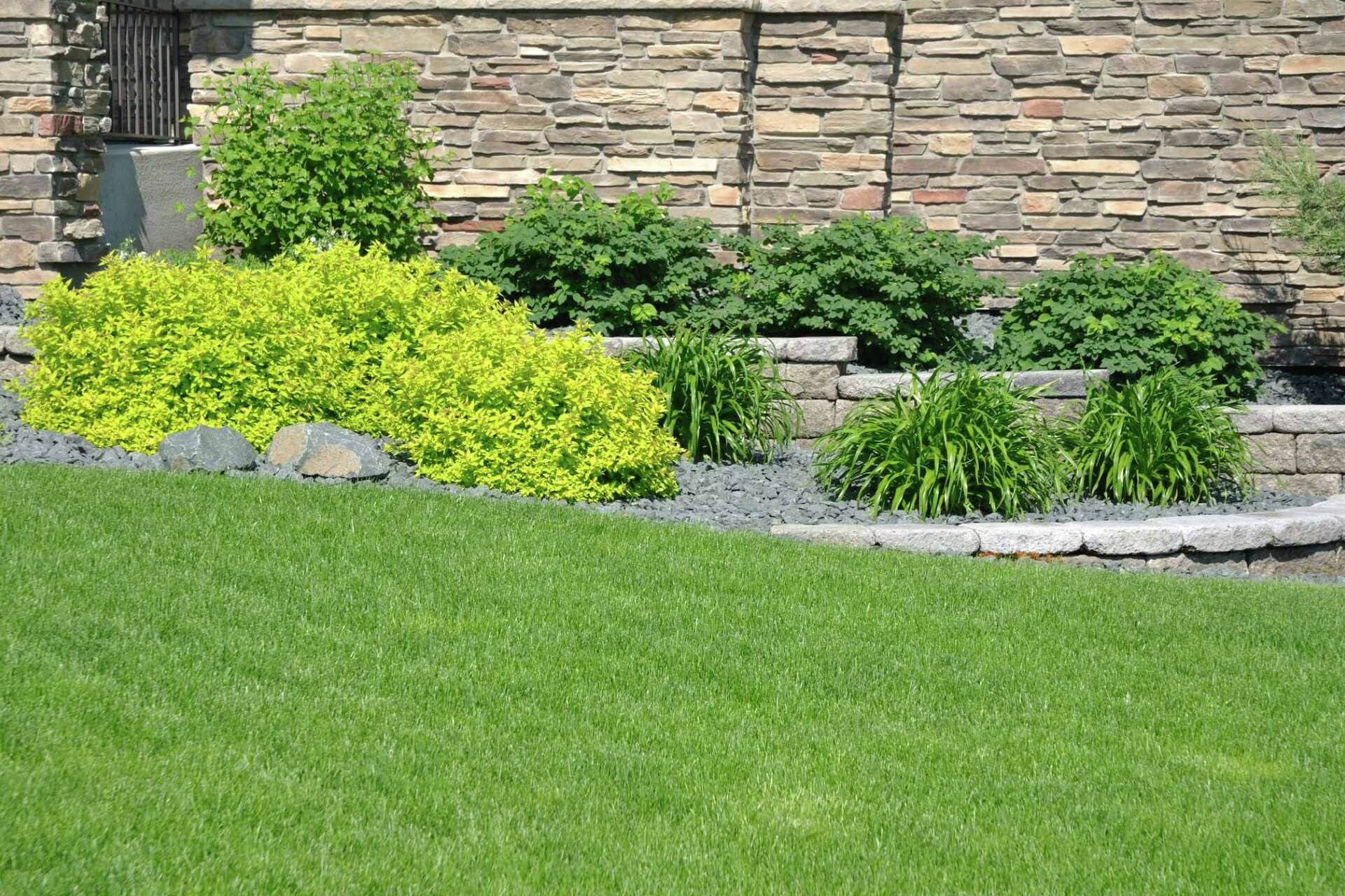 What Shrubs Can Be Planted on the West Side of a House?