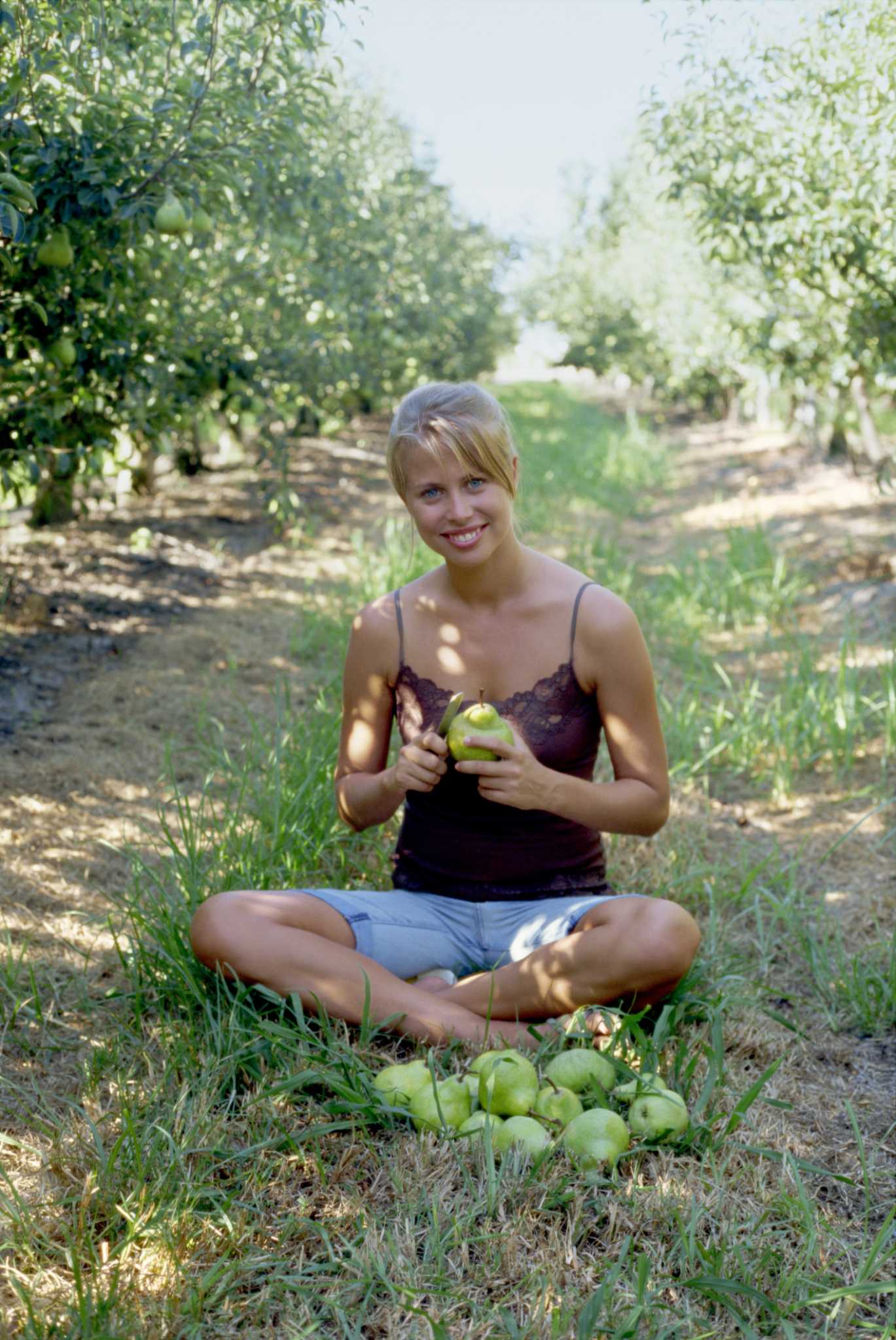 What Soil pH for Pears?