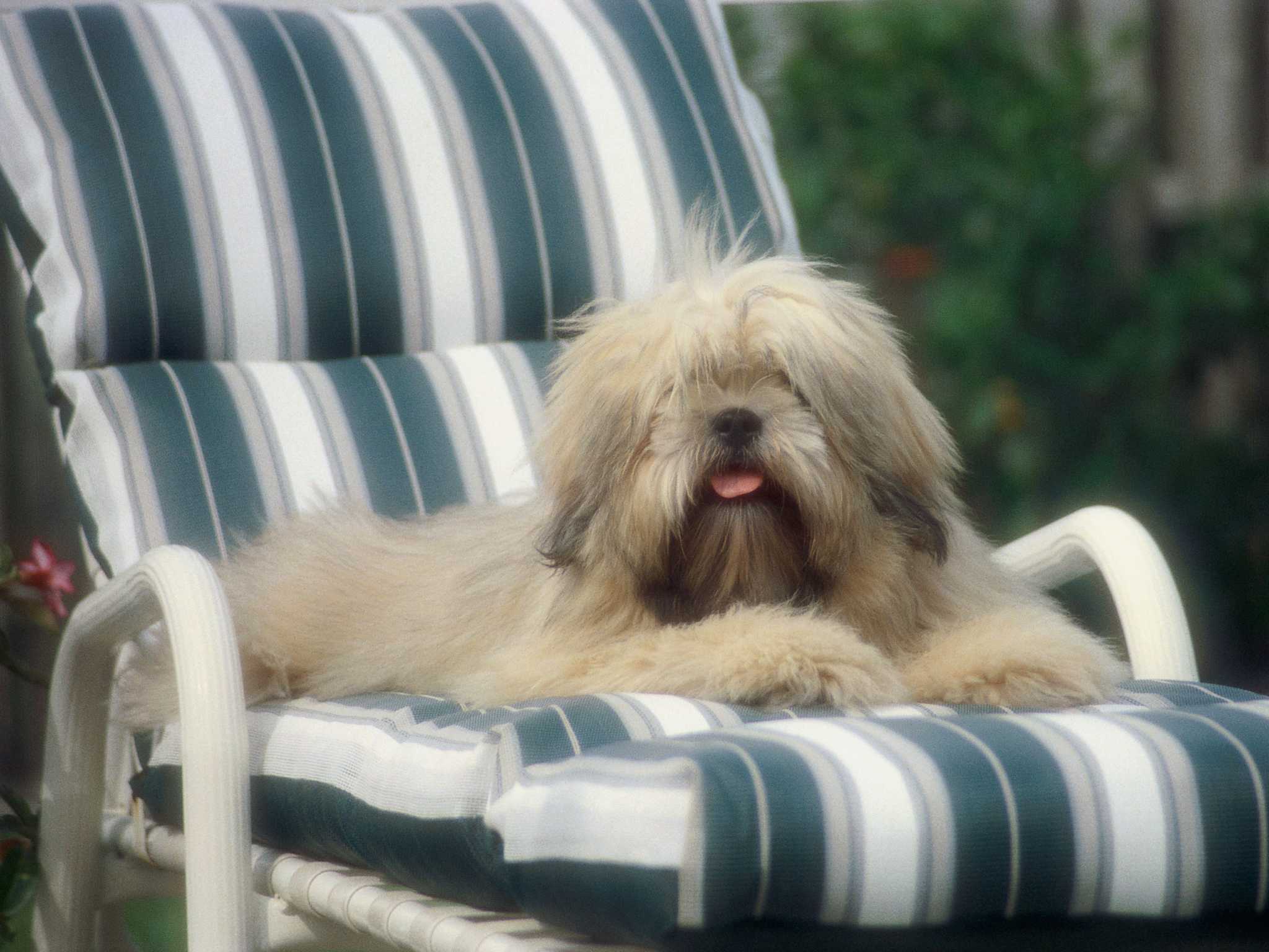 simple-way-to-reupholster-patio-furniture