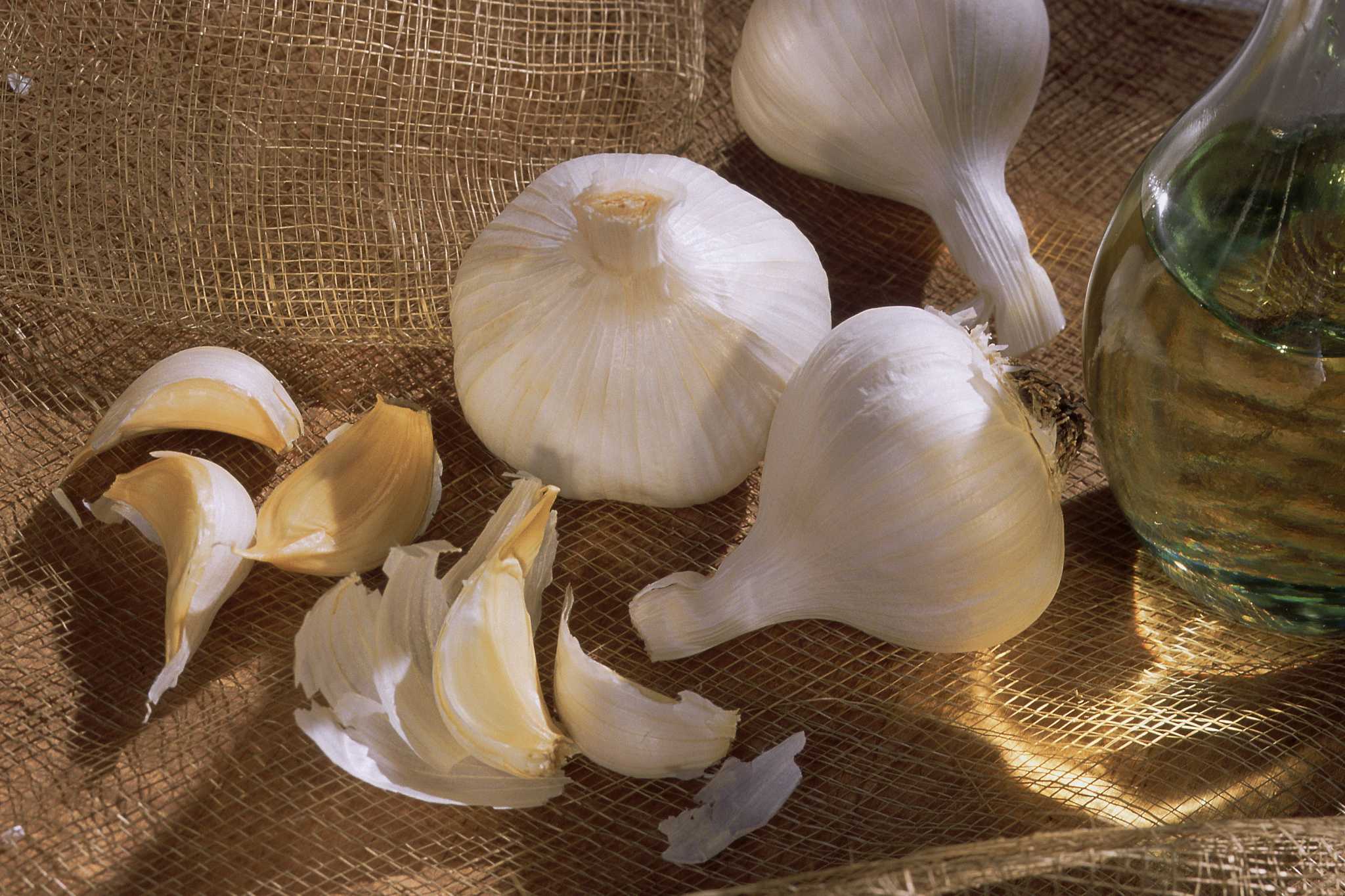 How to Make a Garlic Barrier for Your Plants