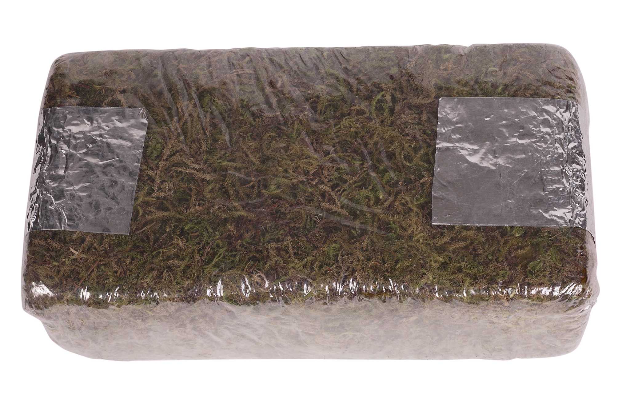 How to Make Homemade Peat Pellets for Seed Starting