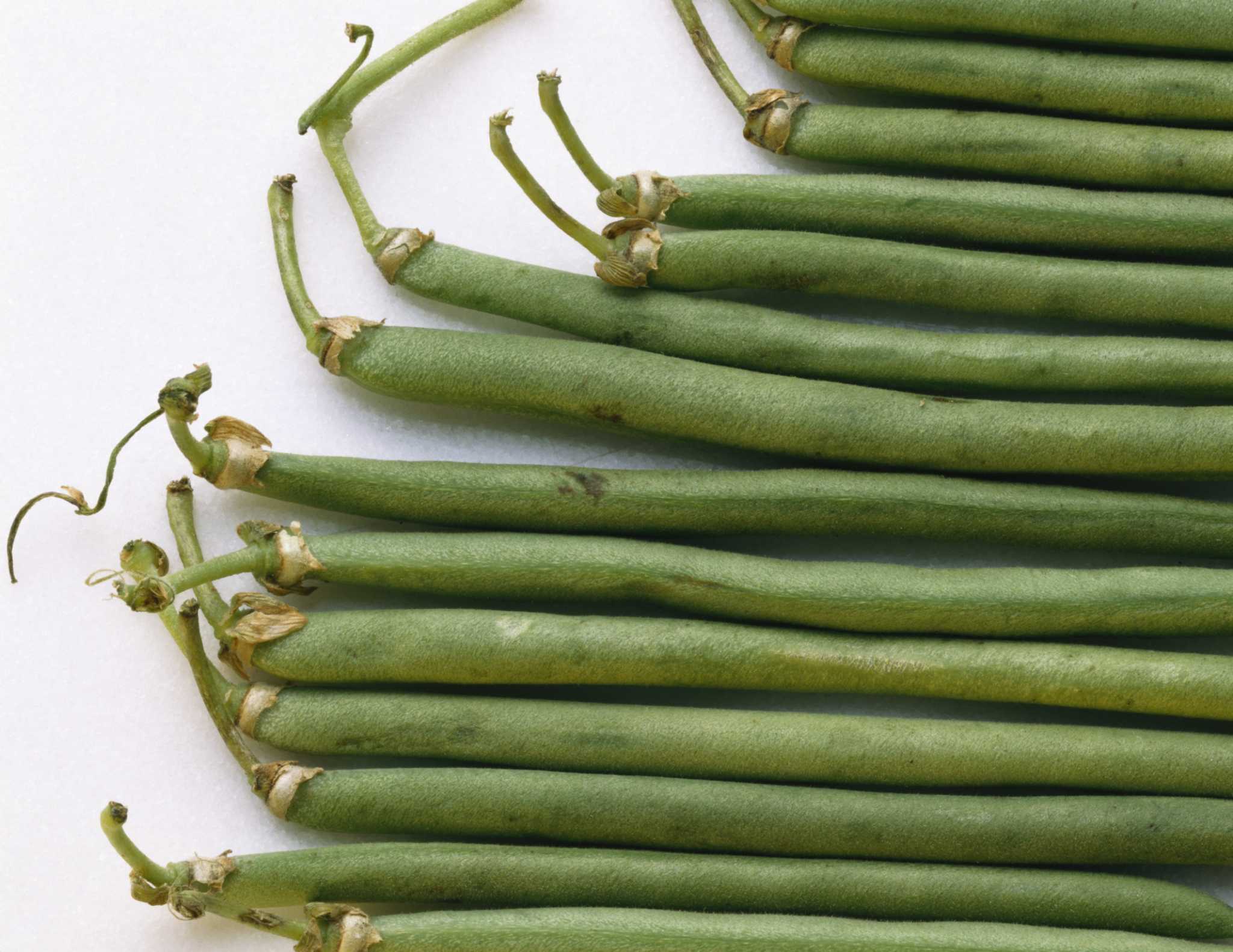 How to Make a Lattice for Beans