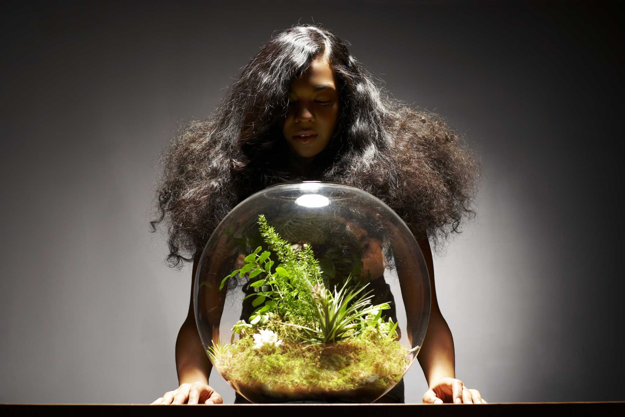 How to Make You Own Terrarium Misting System