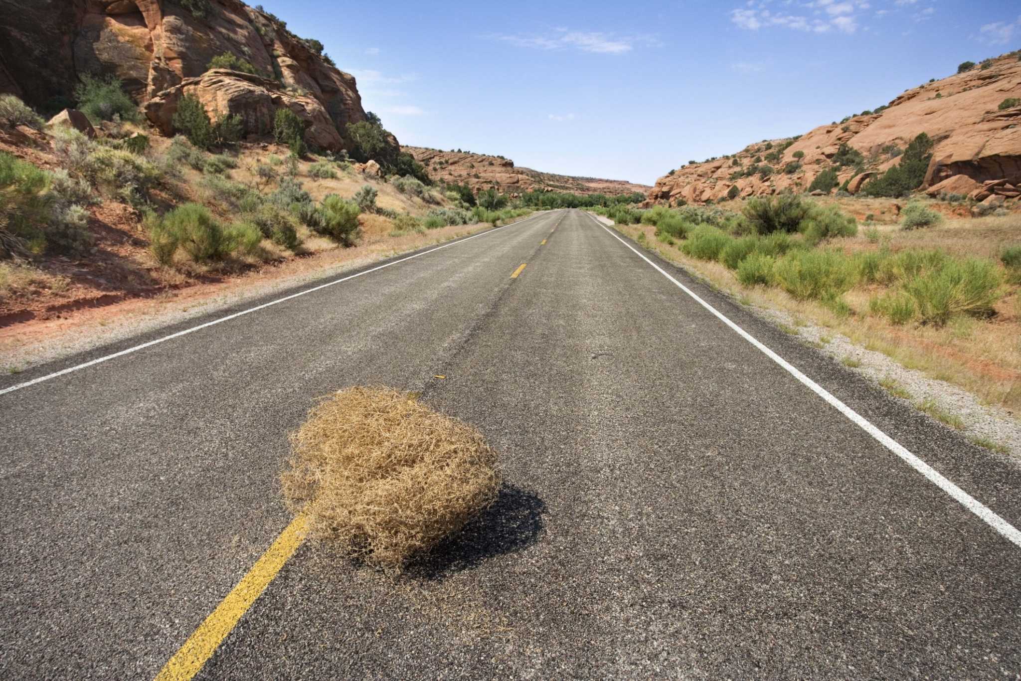 How The Humble Tumbleweed Became Trendy Home Décor