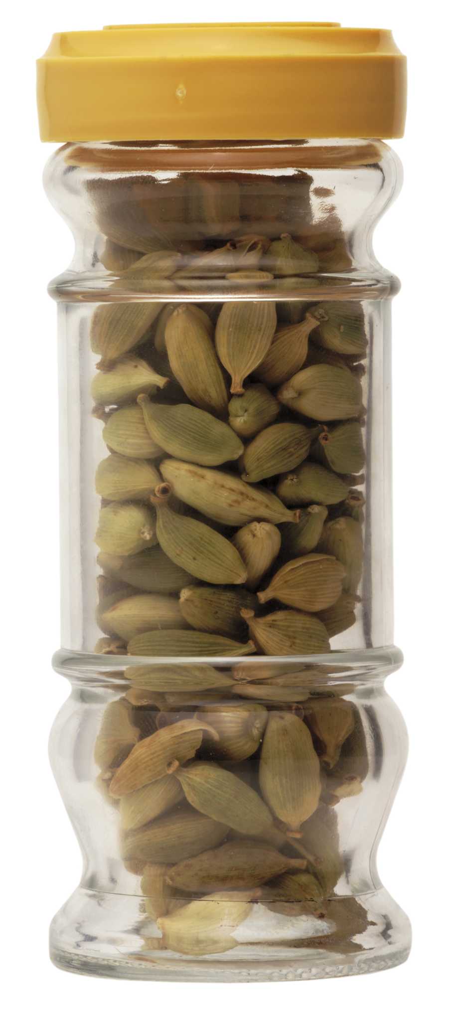 How to Plant Cardamom