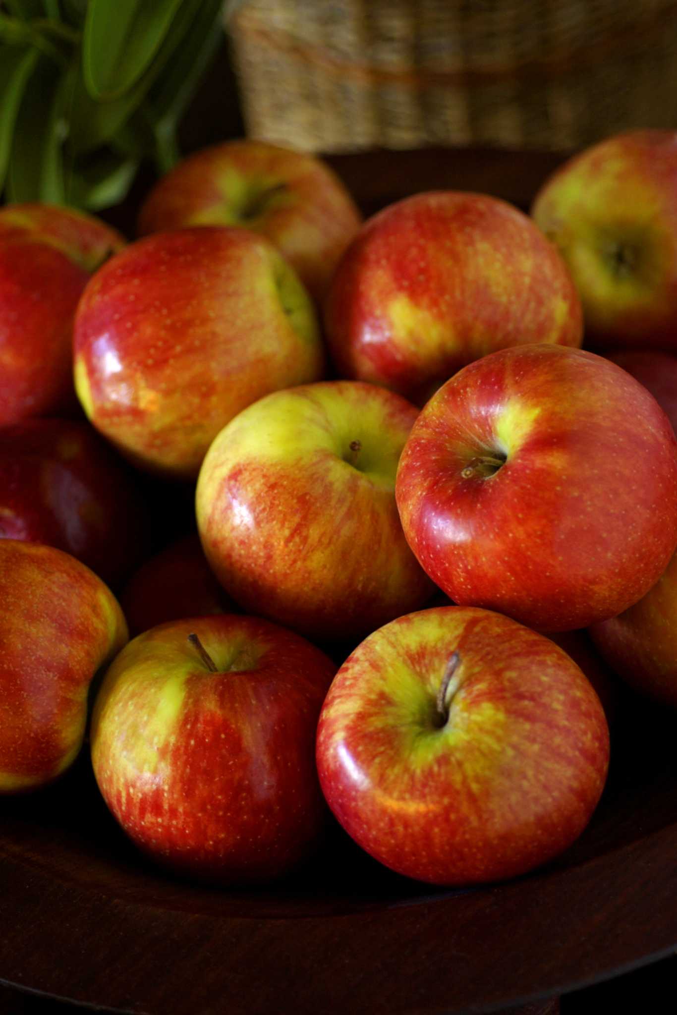 what-types-of-fruit-are-available-in-ultra-dwarf-trees