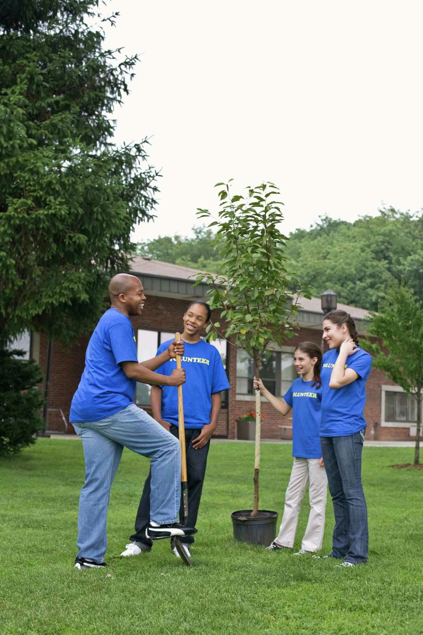 Will Tree Roots Damage Gas Lines?