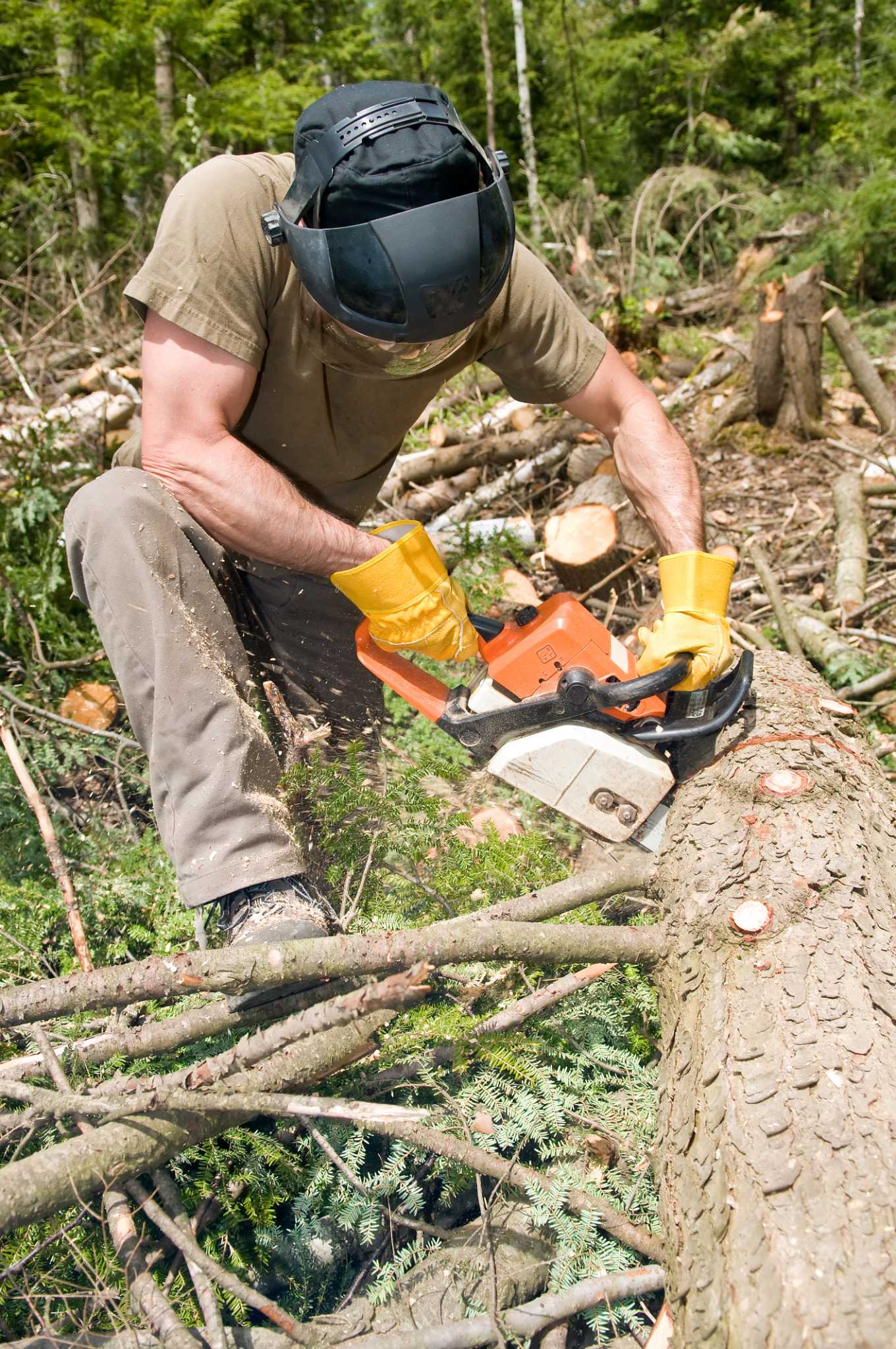 A Stihl 029 Chainsaw That Quits and Stops Running