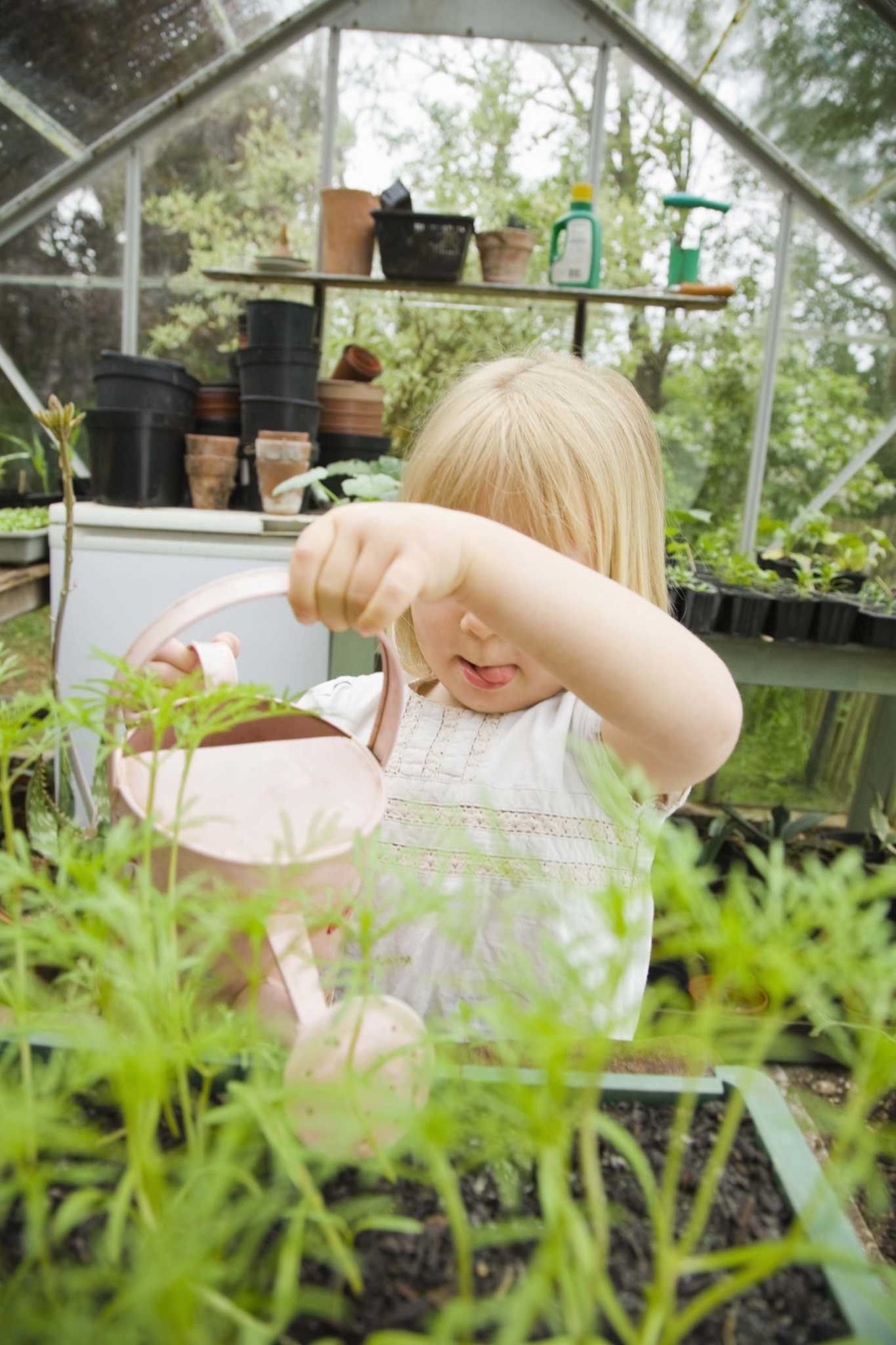 StepbyStep Greenhouse Glass Repair