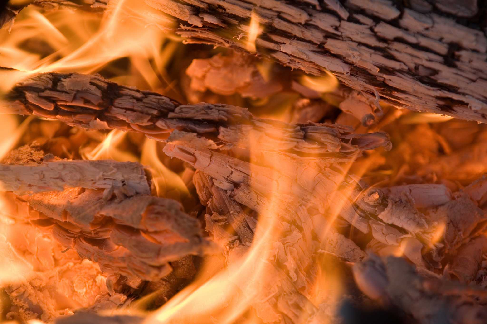 mixing-wood-ash-in-mulch