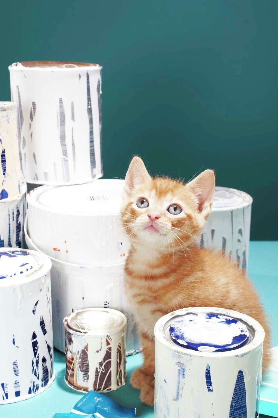 How to Mix Latex Paints Together