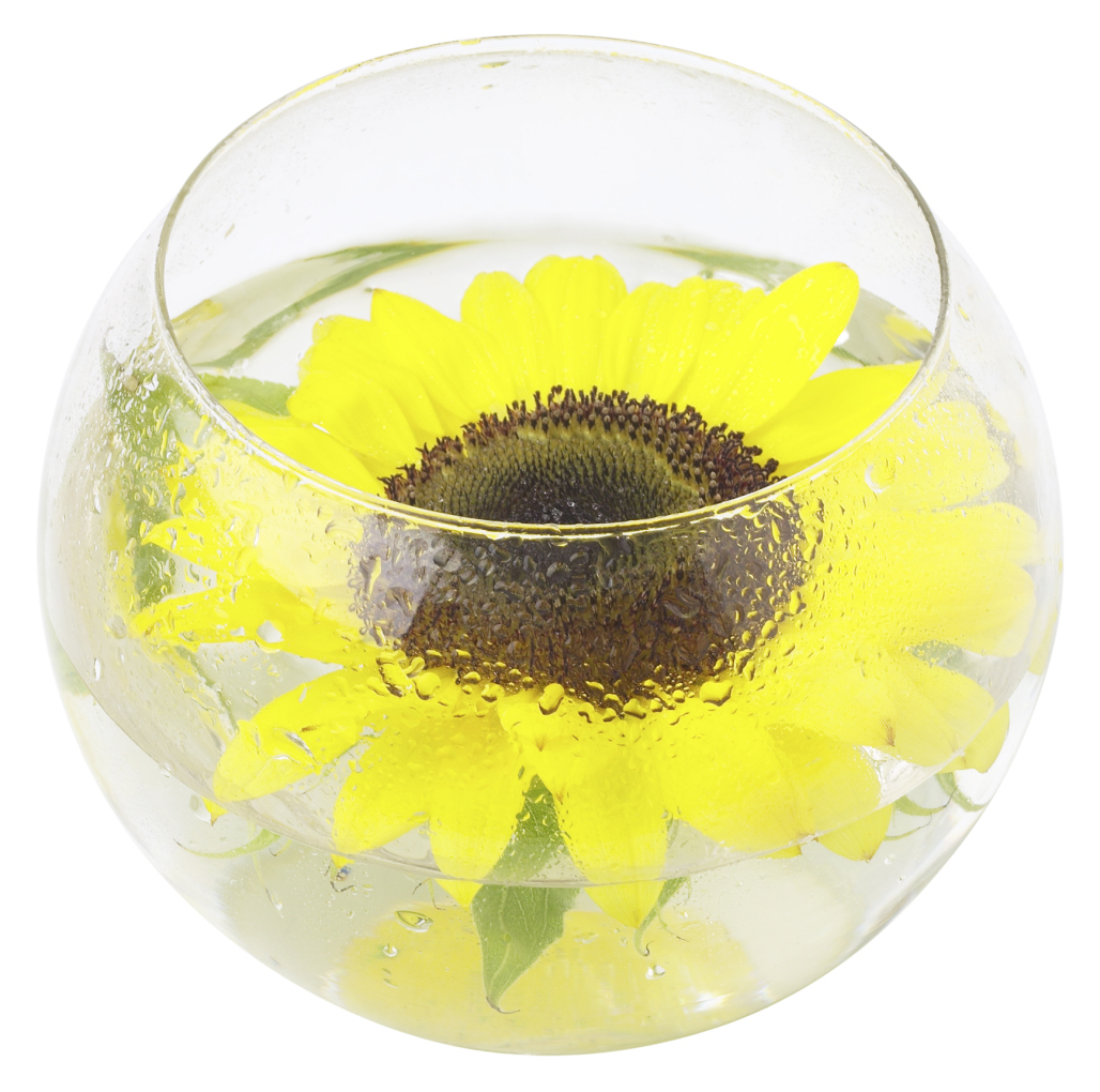 How to Get Moisture In the Home Without a Humidifier