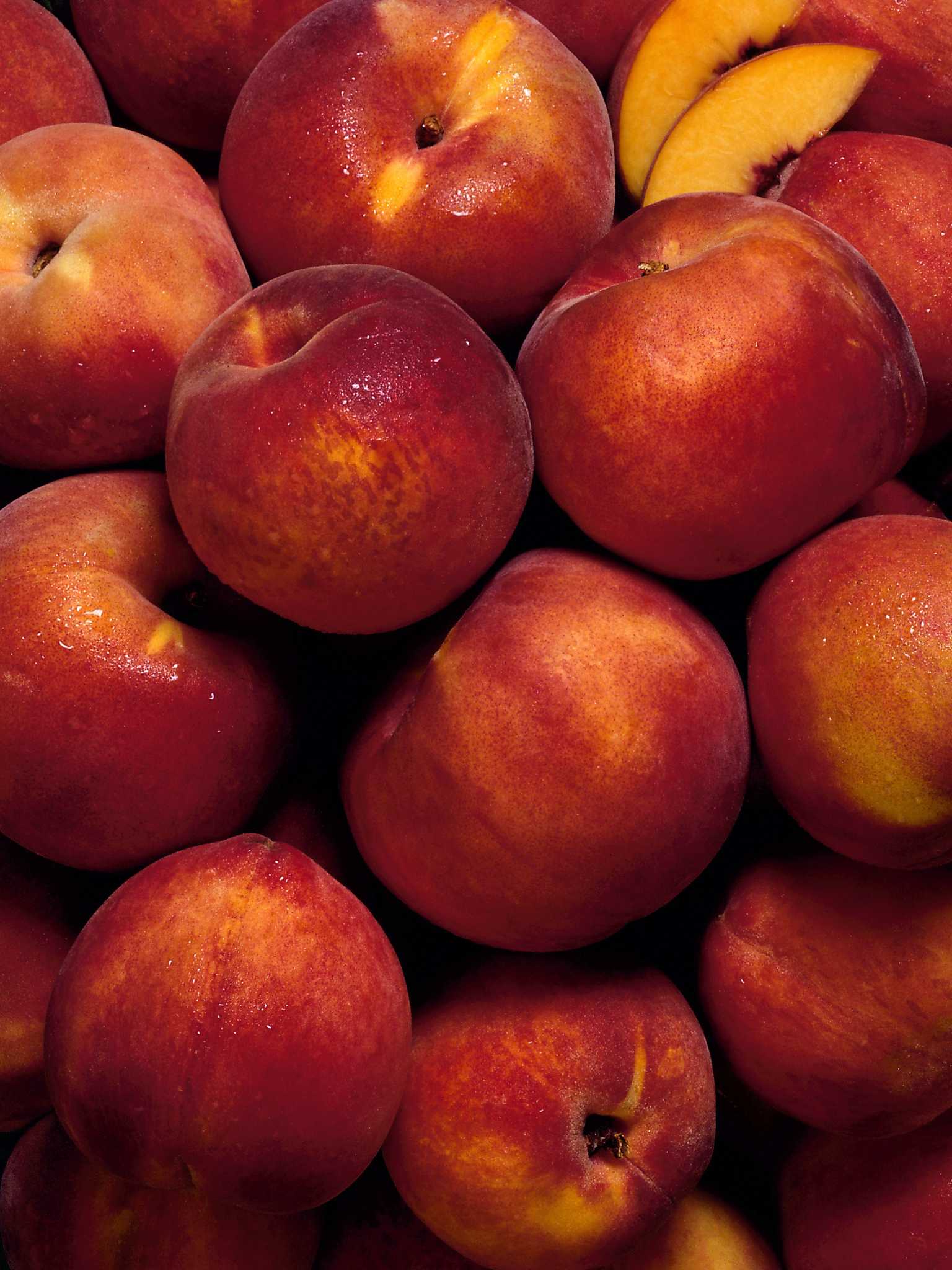 How Much Sun Does a Nectarine Tree Need?