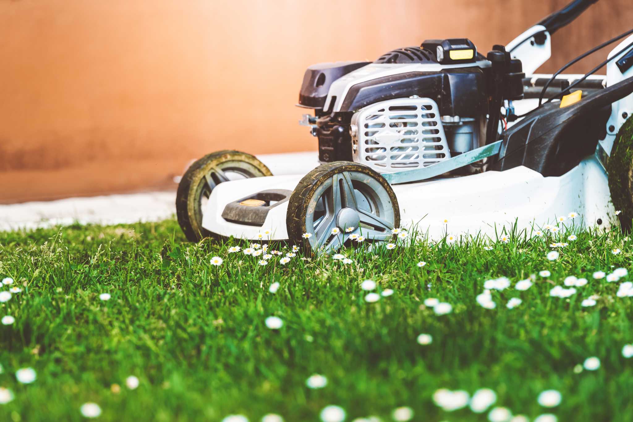 What Is Mulch Mowing?