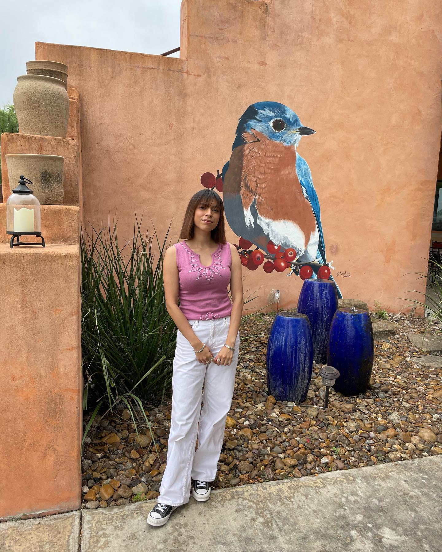Laredo artist completes 'Birds of the Brush' art mural - Vimarsana News