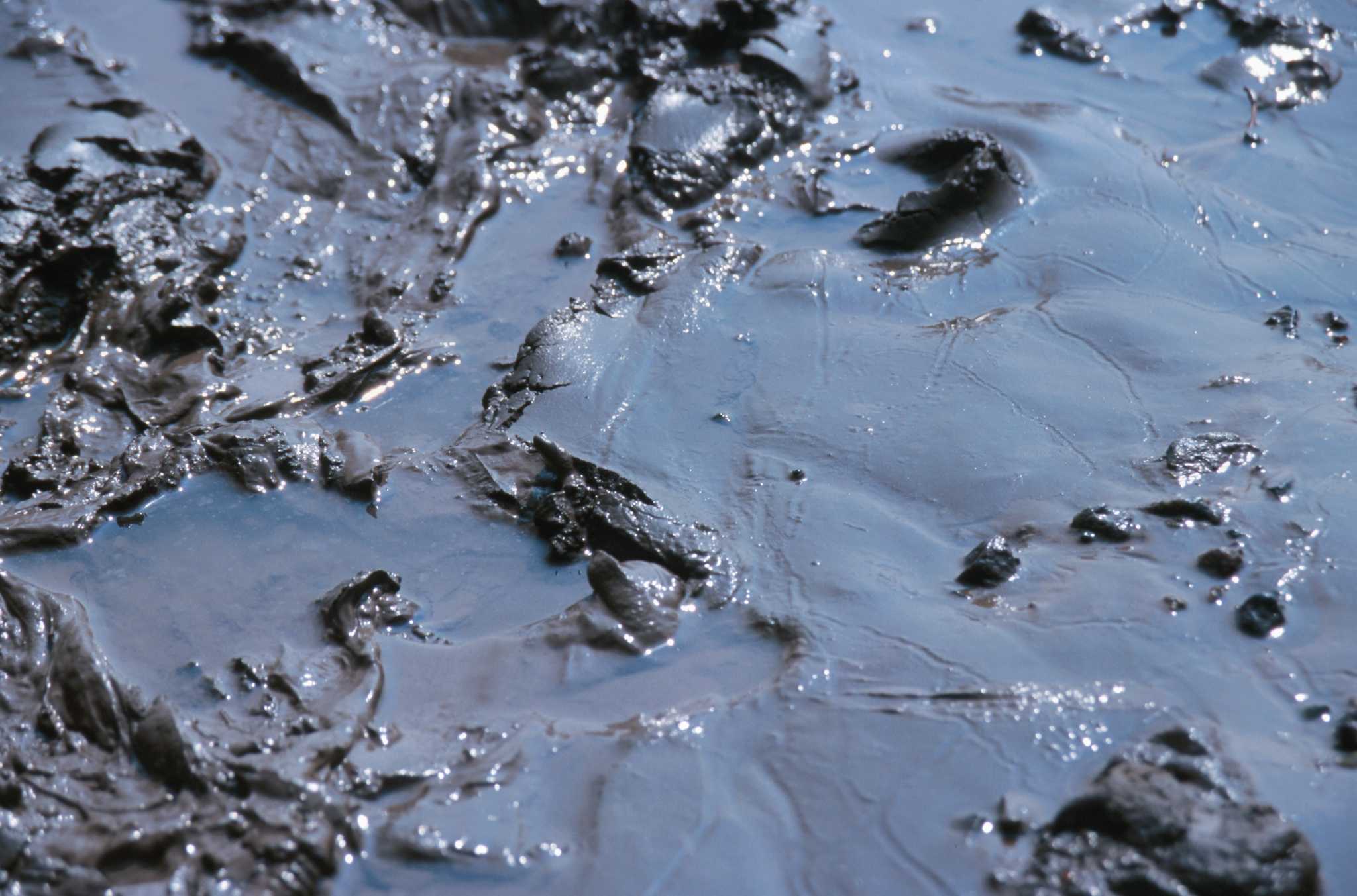 How to Tell If Your Septic System Is Backing Up