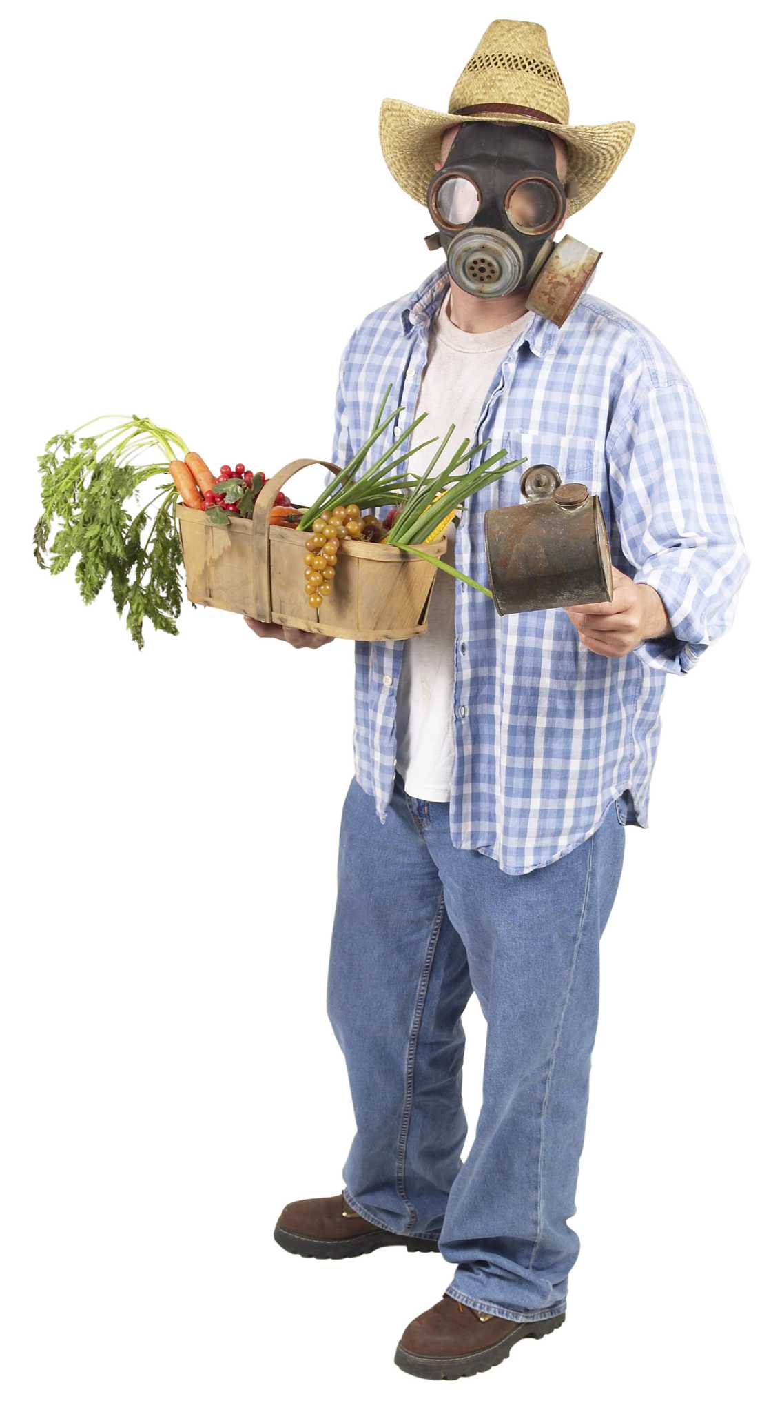 NATURAL BUG KILLER FOR VEGETABLE GARDEN intelligence overview