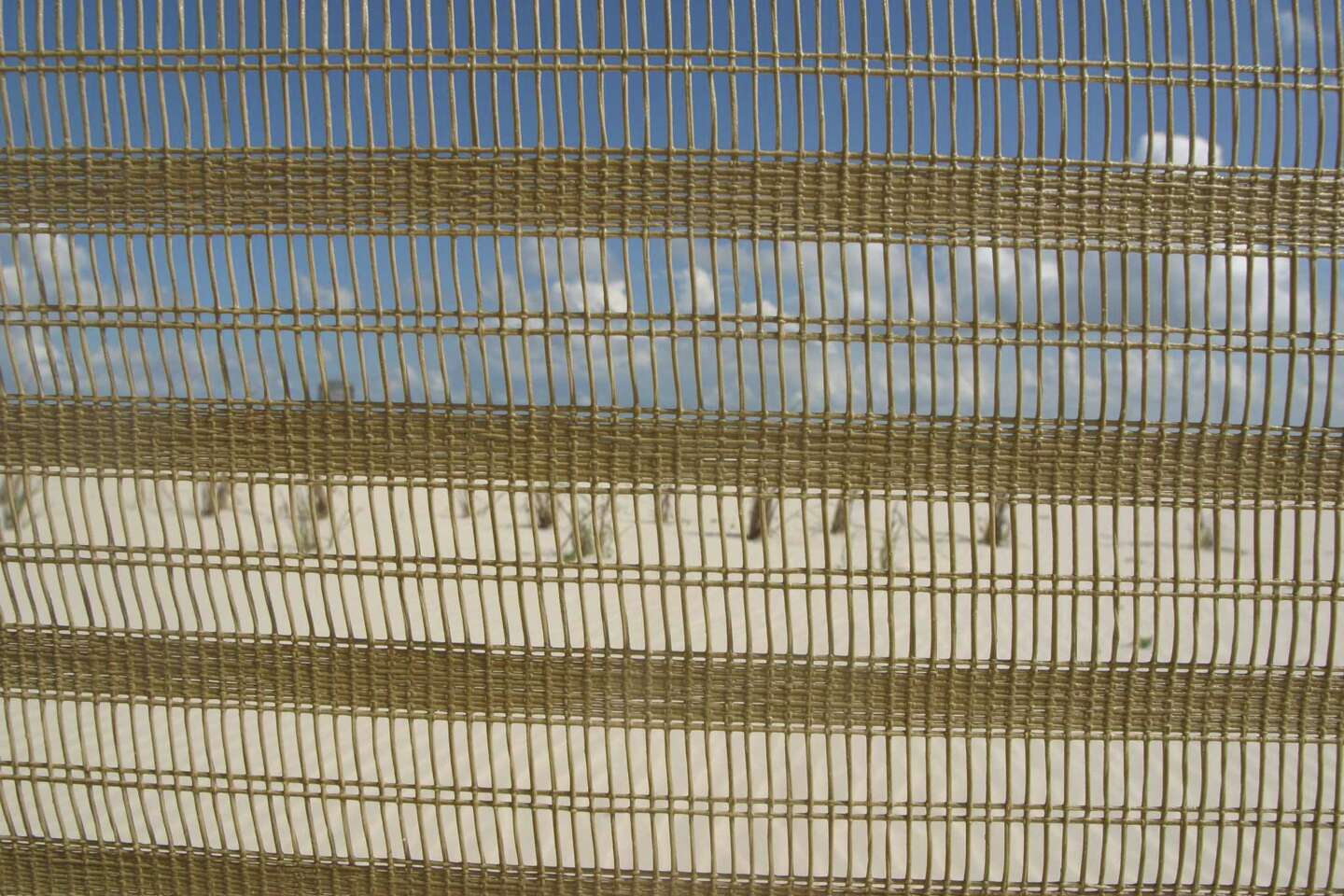 Netting for Grass Seed