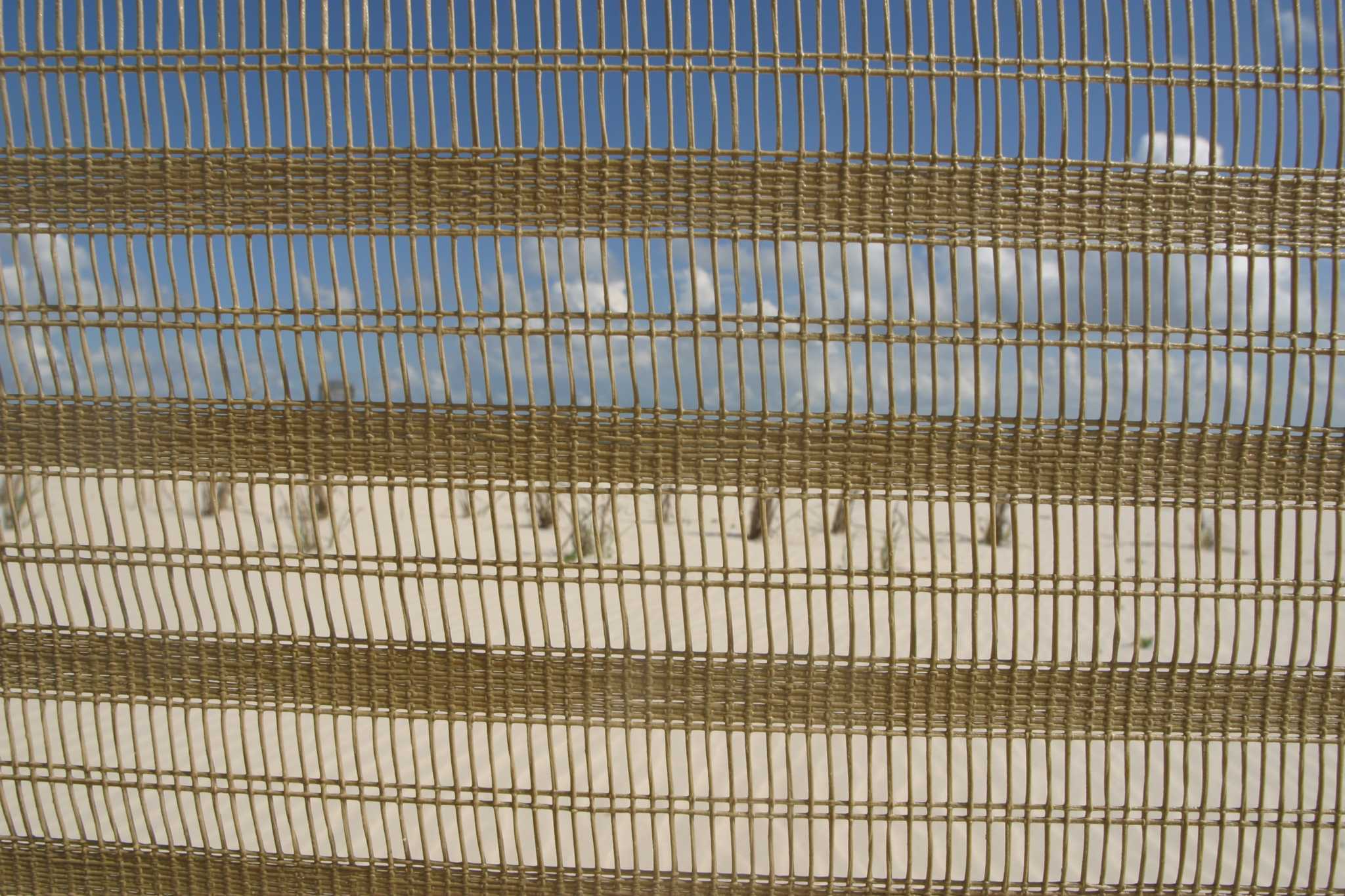 Netting for Grass Seed