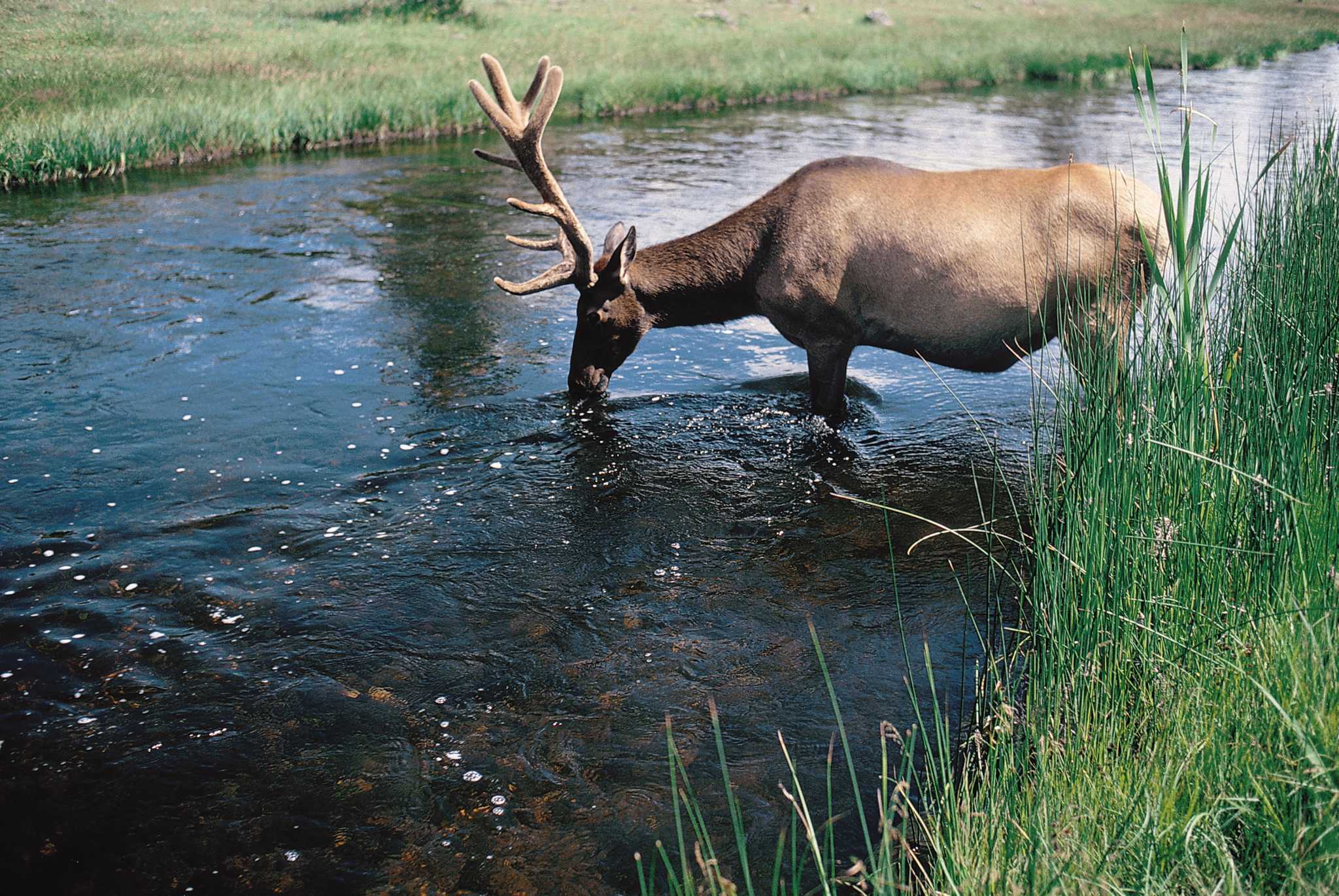 What Are Three Sources of Drinkable Water?