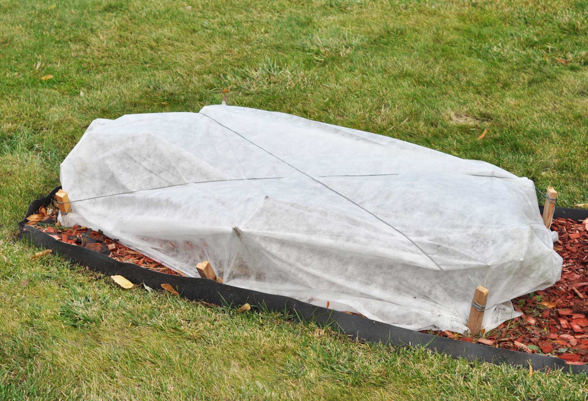 why-not-cover-plants-with-plastic-for-a-frost