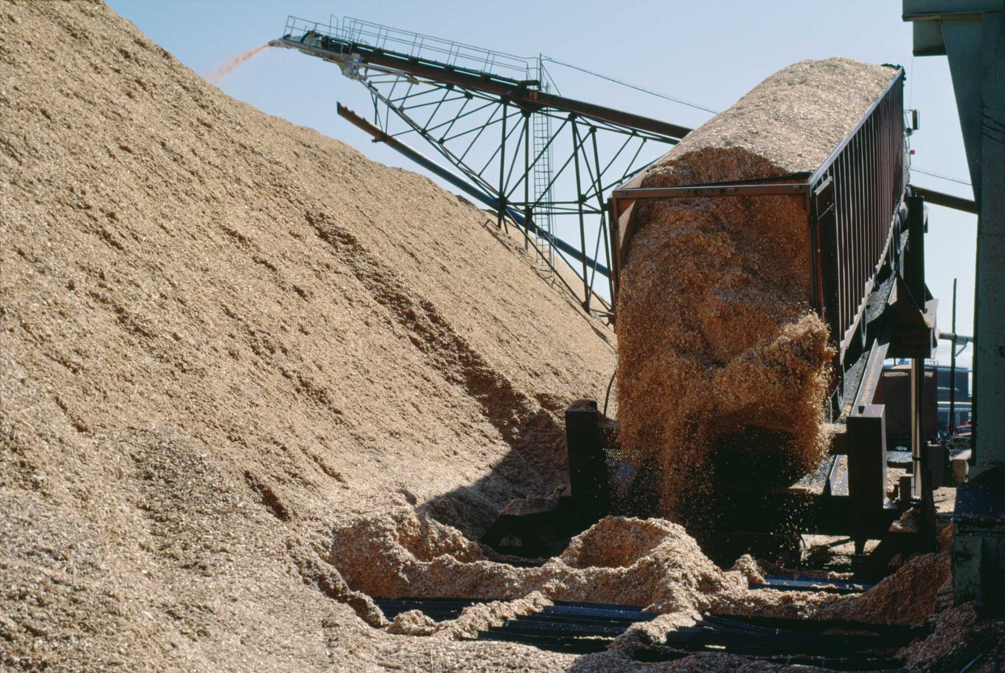 About Oak Sawdust for Mulch