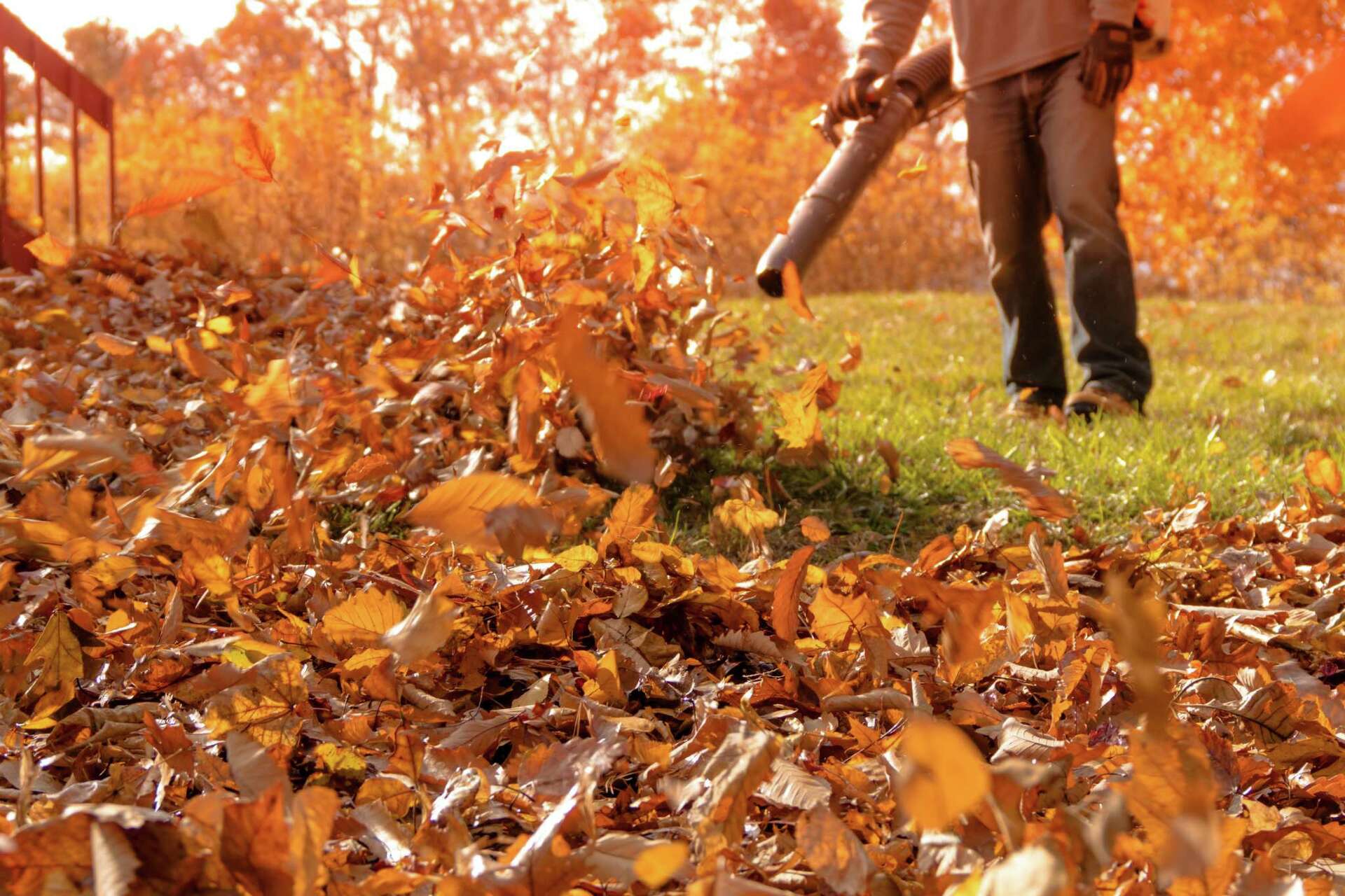 The Oil Ratio for a Stihl Leaf Blower