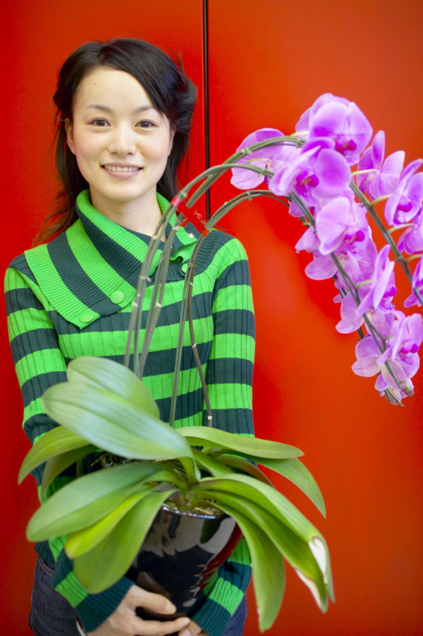 My Orchid Lost All its Blooms & Now Looks Dead