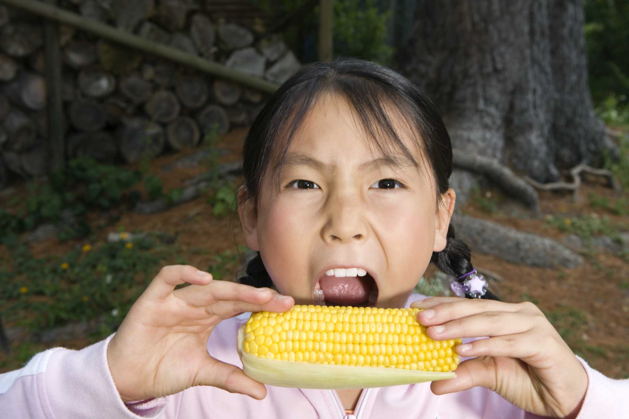 organic-pest-control-for-sweet-corn