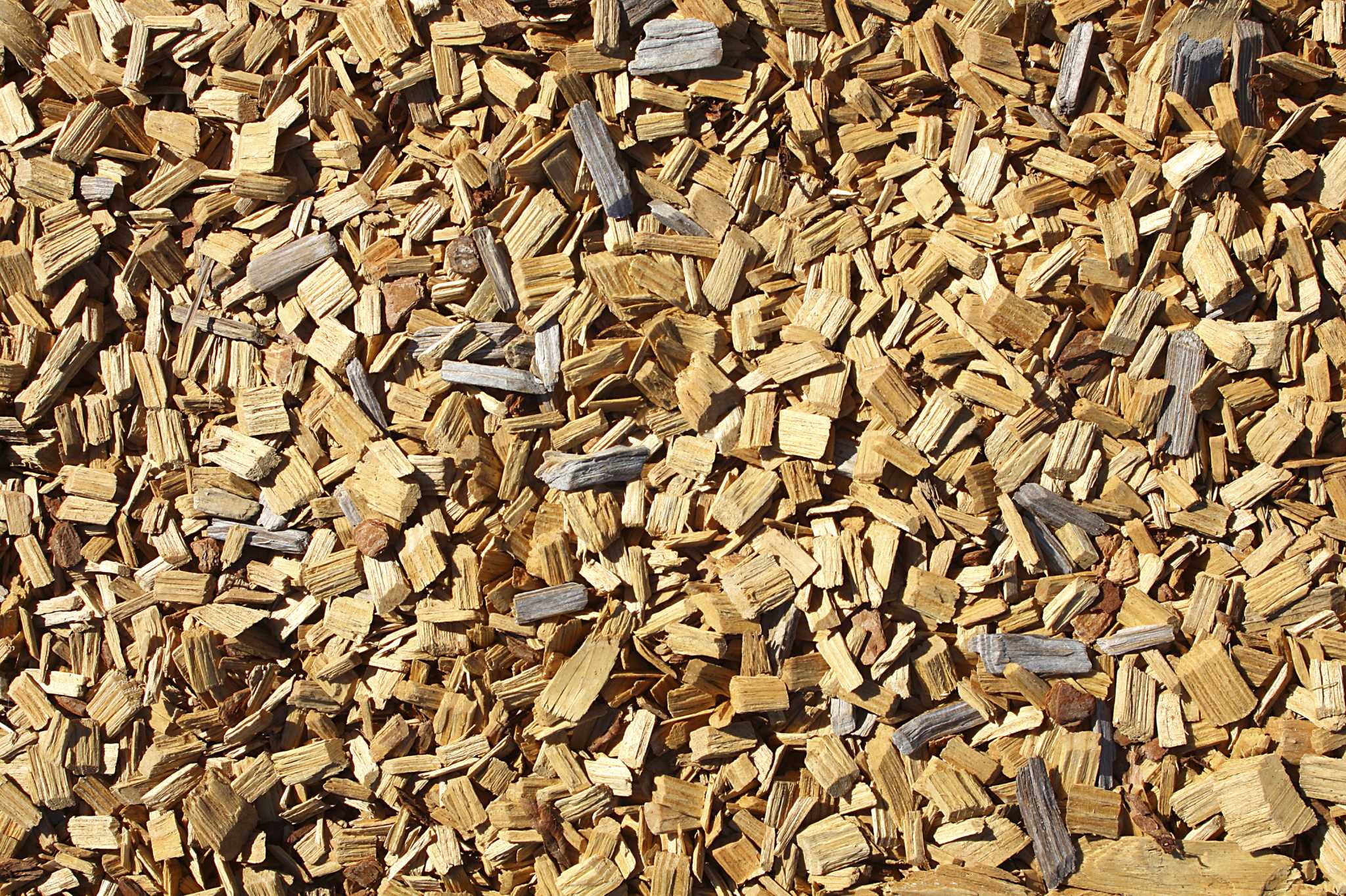Tips on How to Store Fresh Cedar Chips