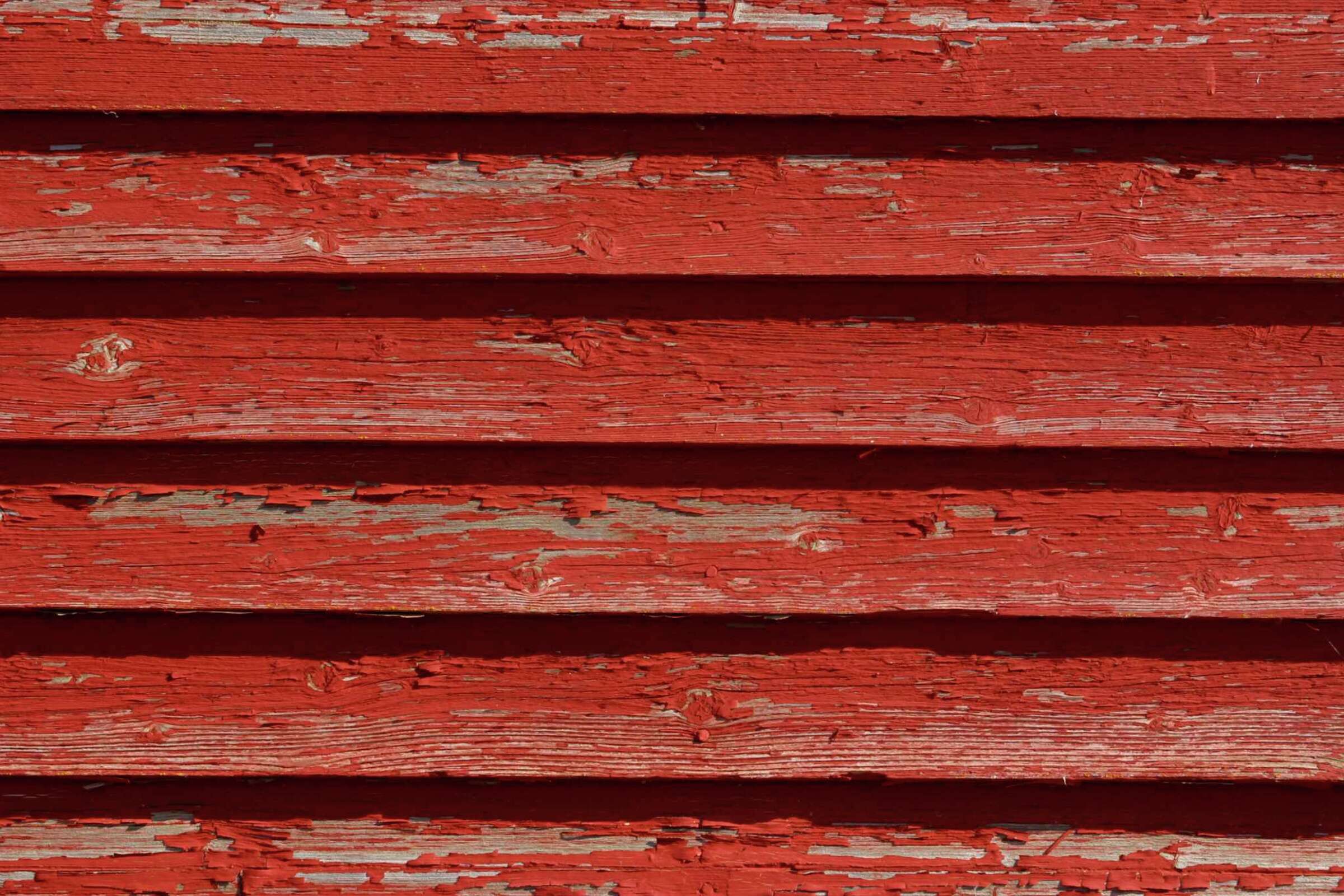 Paint Adhesion Failures