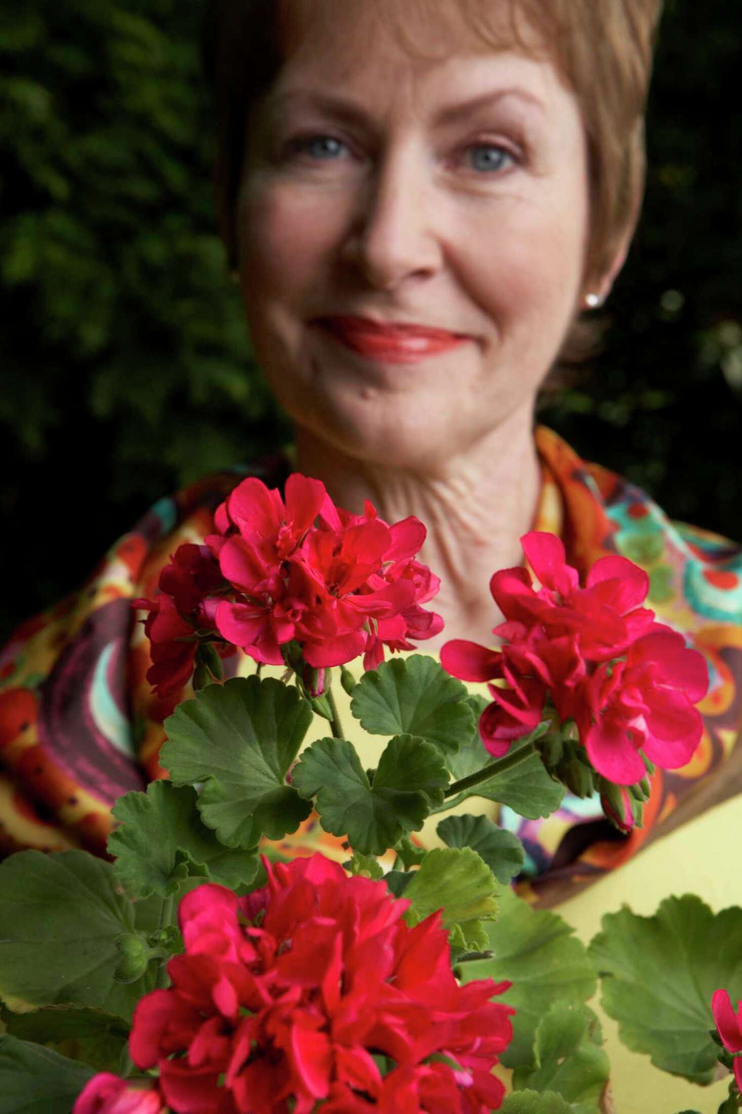 How Toxic Are Geraniums to Dogs?