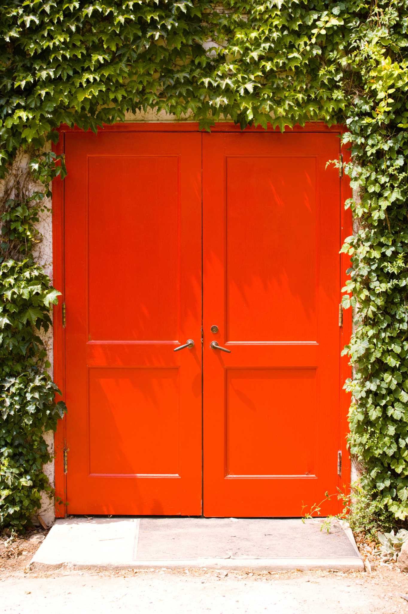 How to Paint a Door with Oil Paint