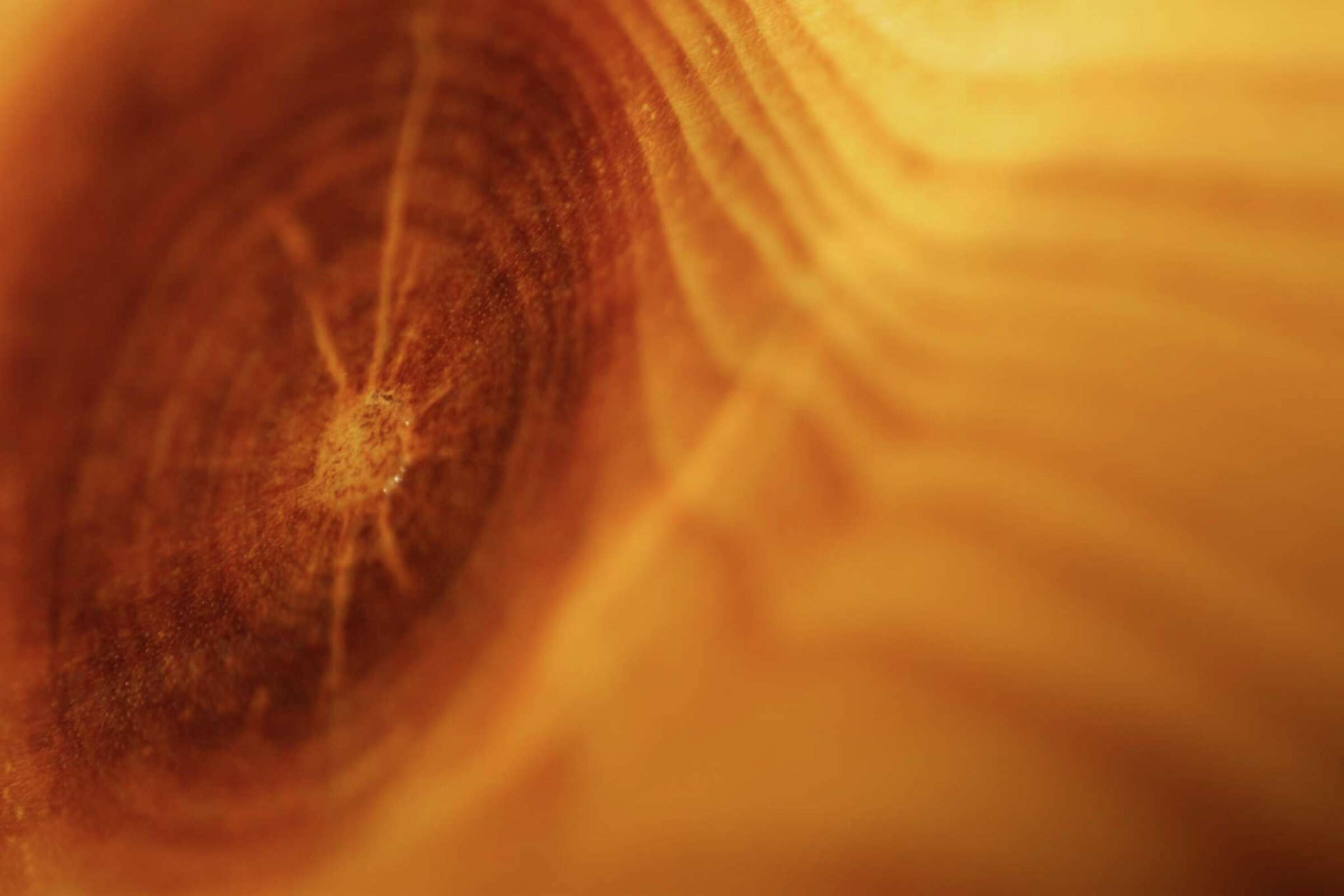 How to Paint the Knots in Knotty Alder Doors