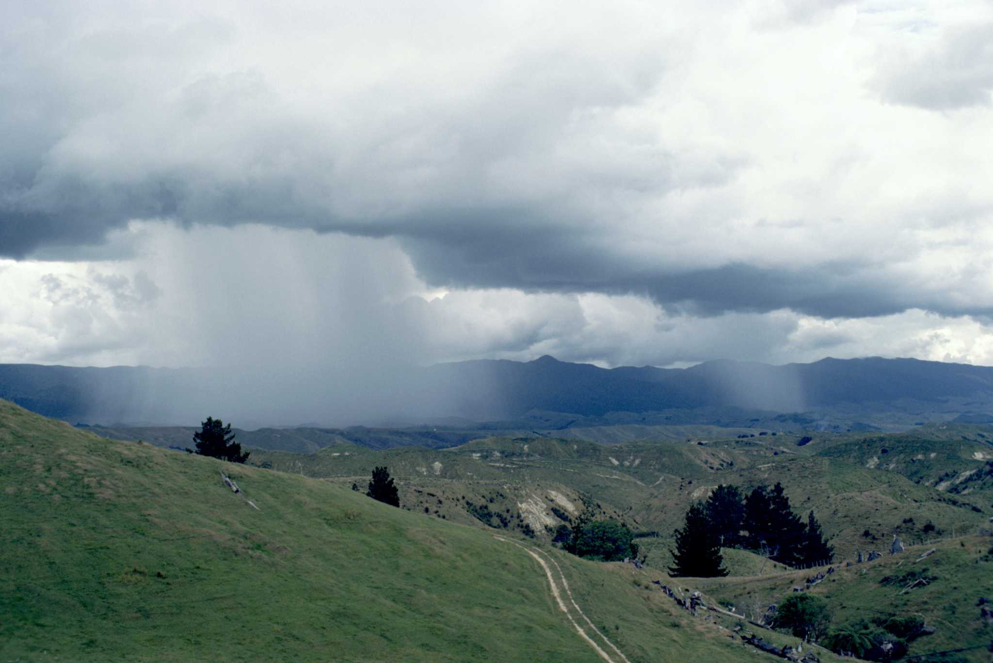 How to Treat Rainwater for a Shower