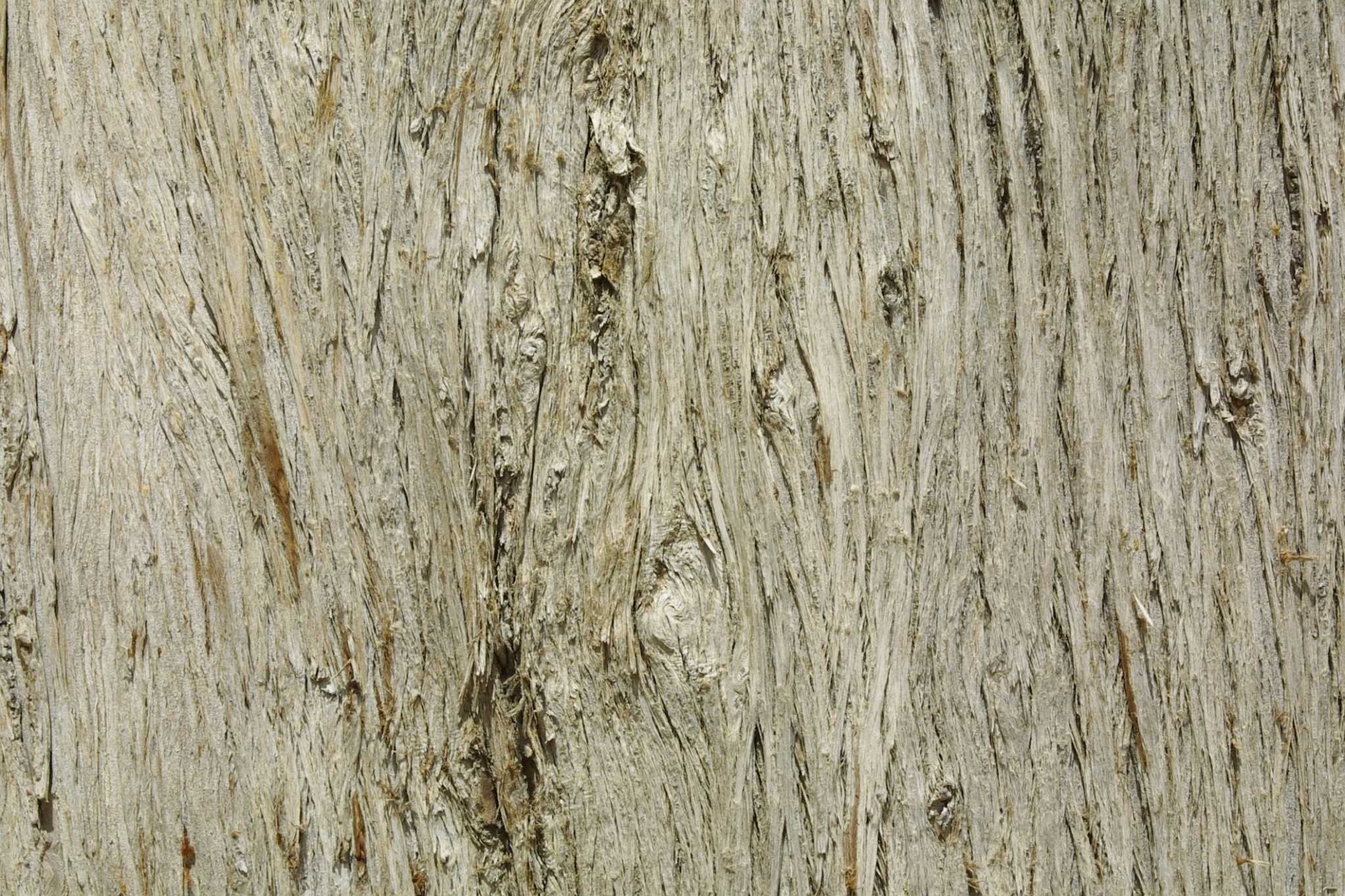 How to Treat Woodworms in Finished Furniture