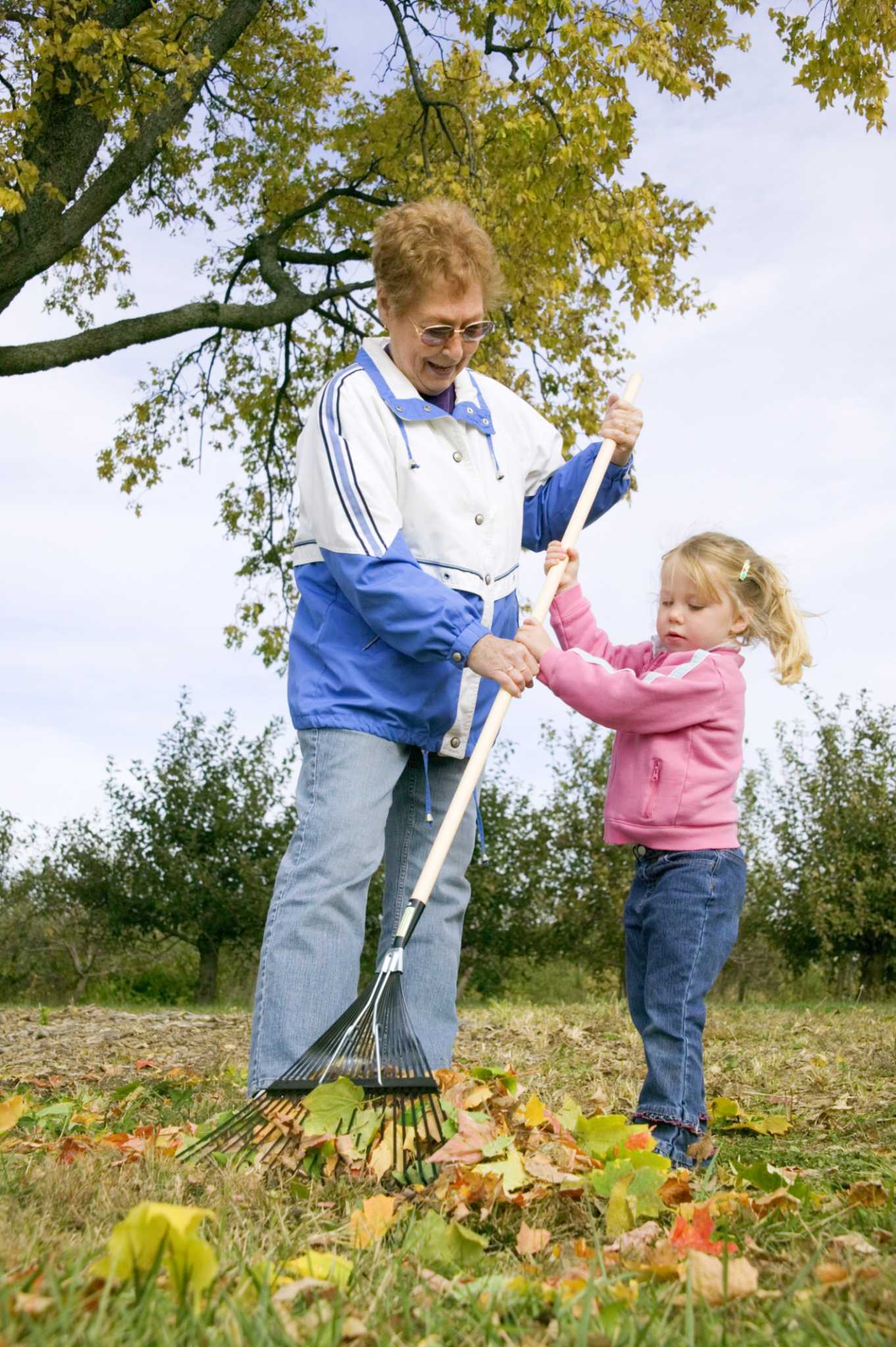 Tree Diseases That Cause White Scales