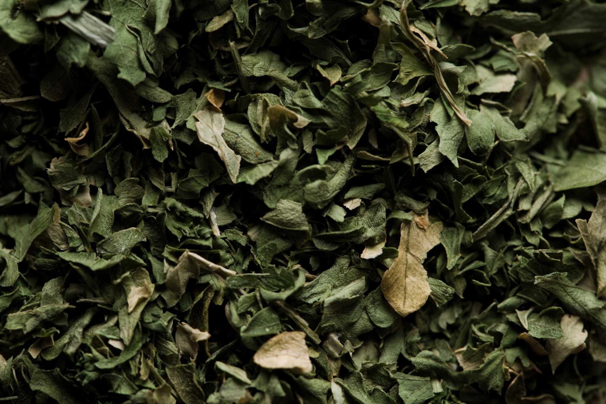 How to Trim & Dry Greek Oregano